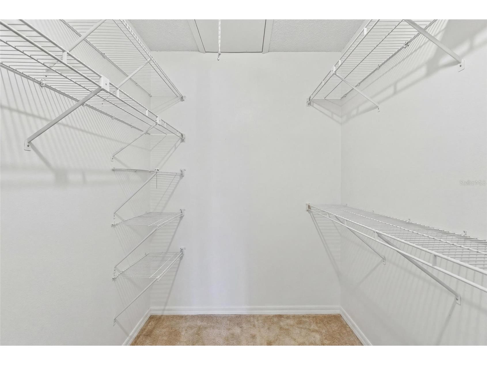 6643 Kelsey Lane #4B New Port Richey FL 34653 TB8527742 image22