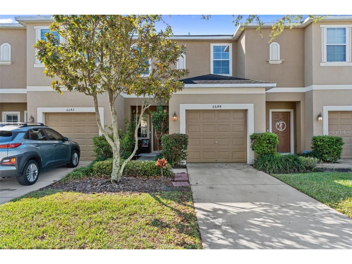 6644 Holly Heath Drive Riverview FL 33578 T3537149 image1