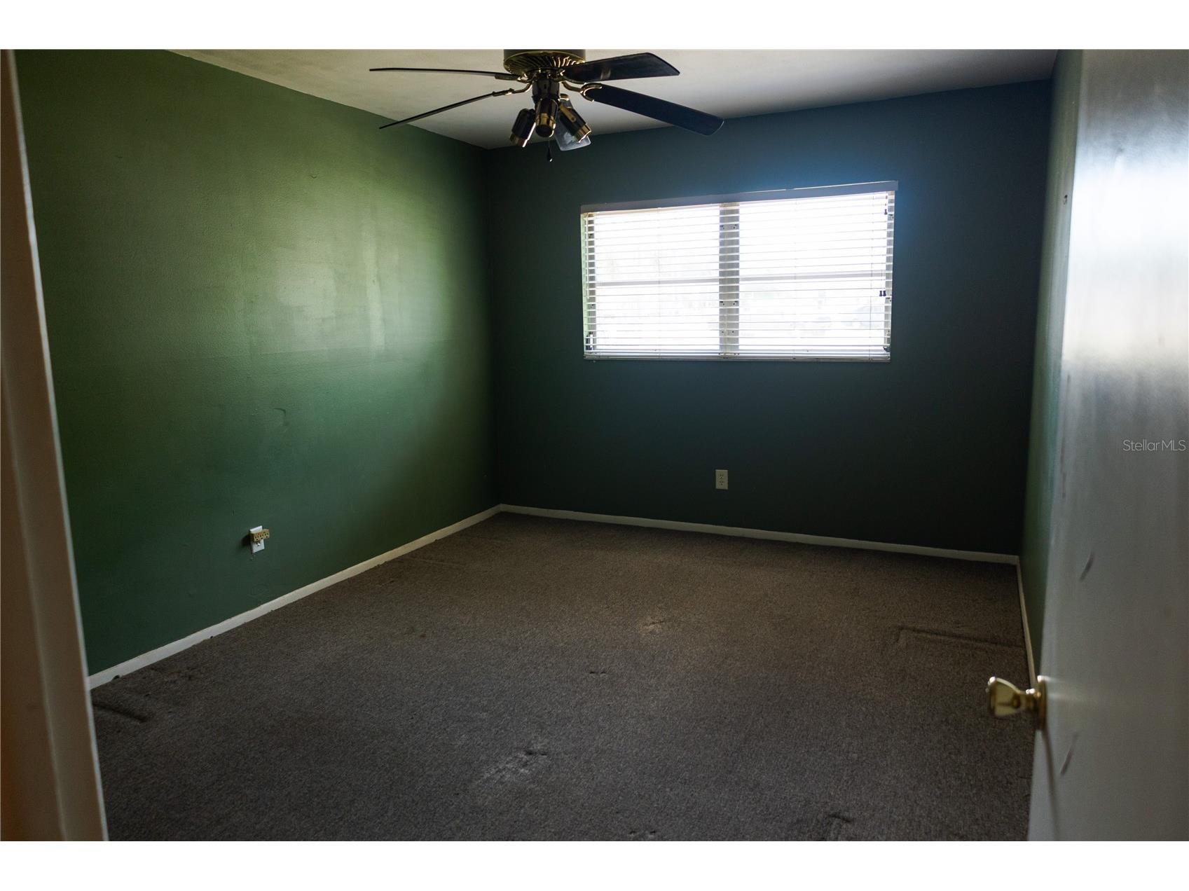 6645 1st Avenue N #103 Saint Petersburg FL 33710 TB8498293 image3