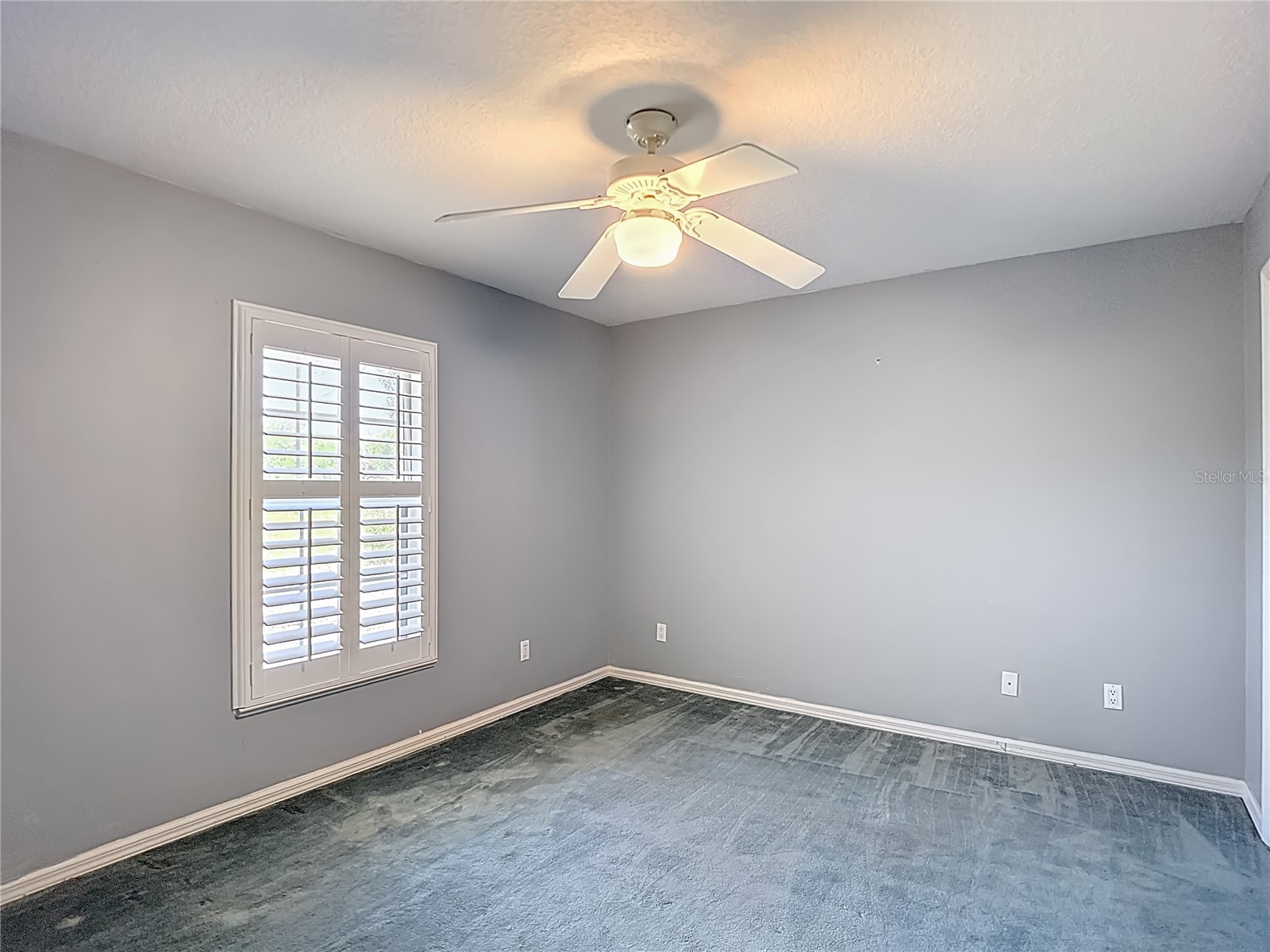 6645 Northlake Drive Zephyrhills FL 33542 TB8496605 image30