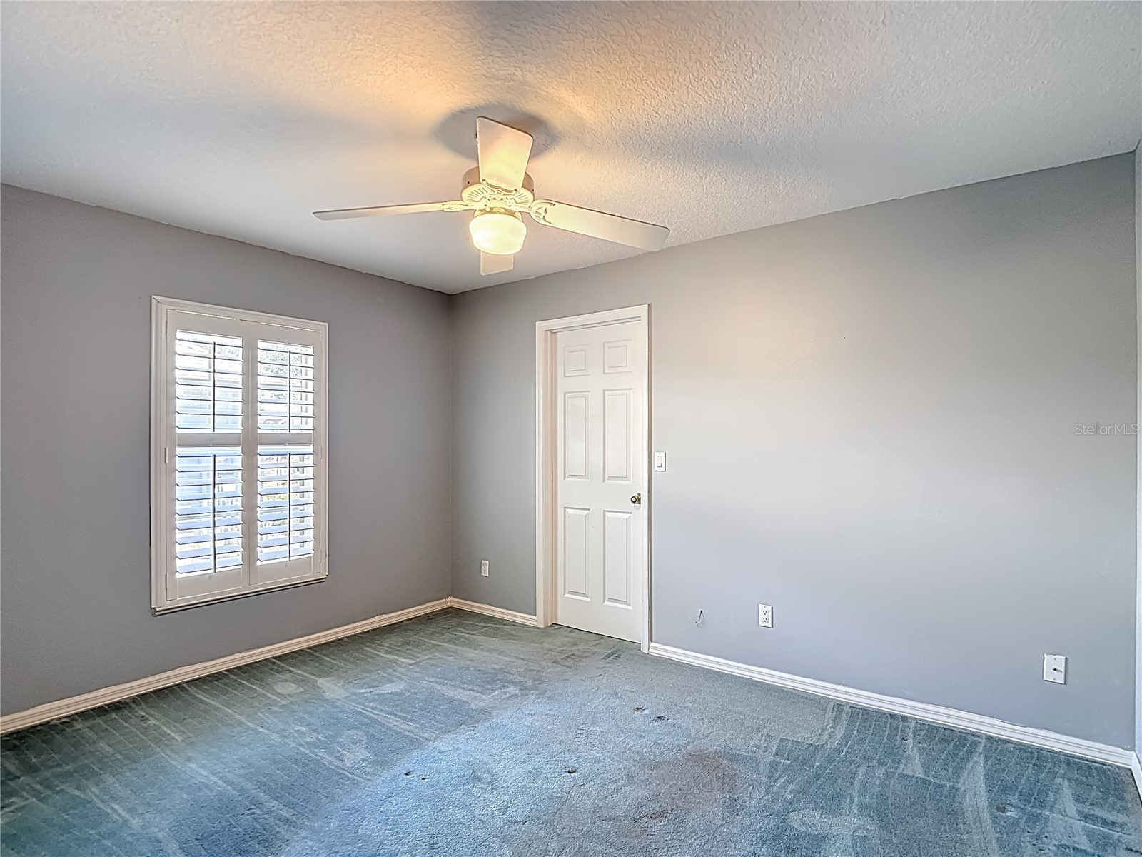 6645 Northlake Drive Zephyrhills FL 33542 TB8496605 image32