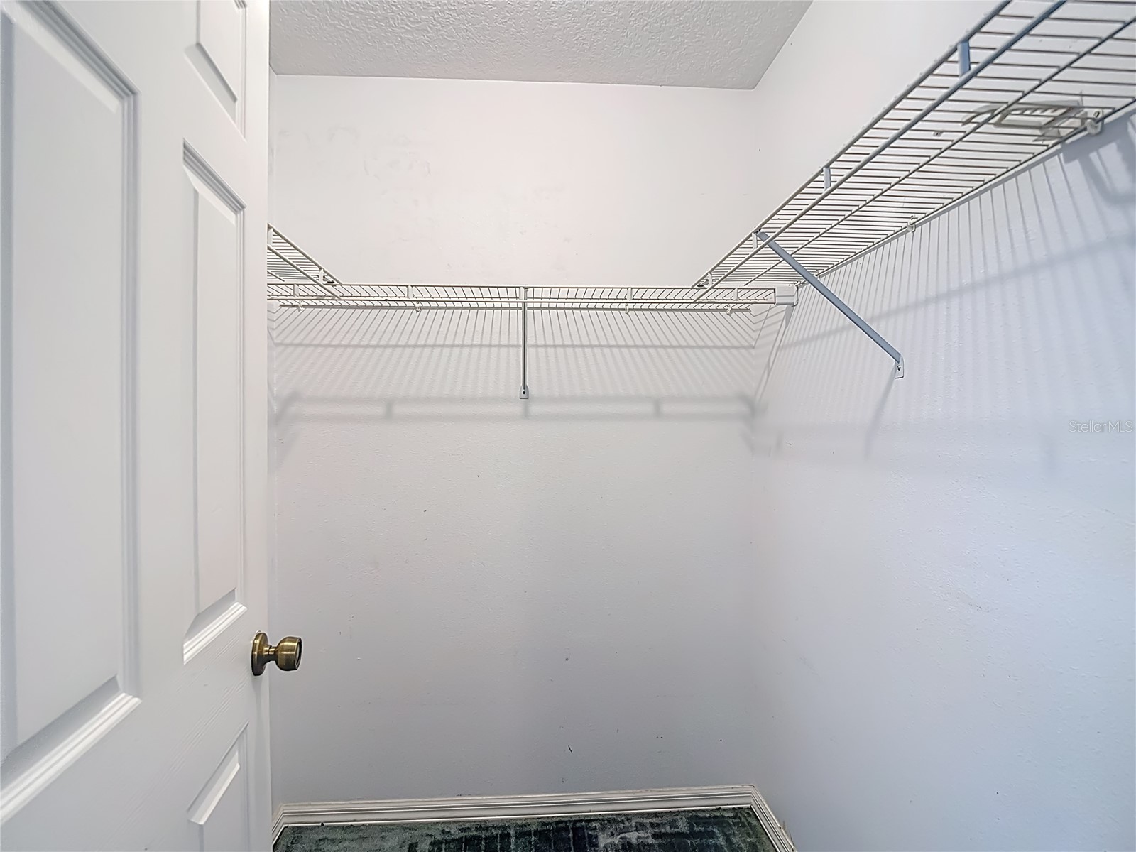 6645 Northlake Drive Zephyrhills FL 33542 TB8496605 image34