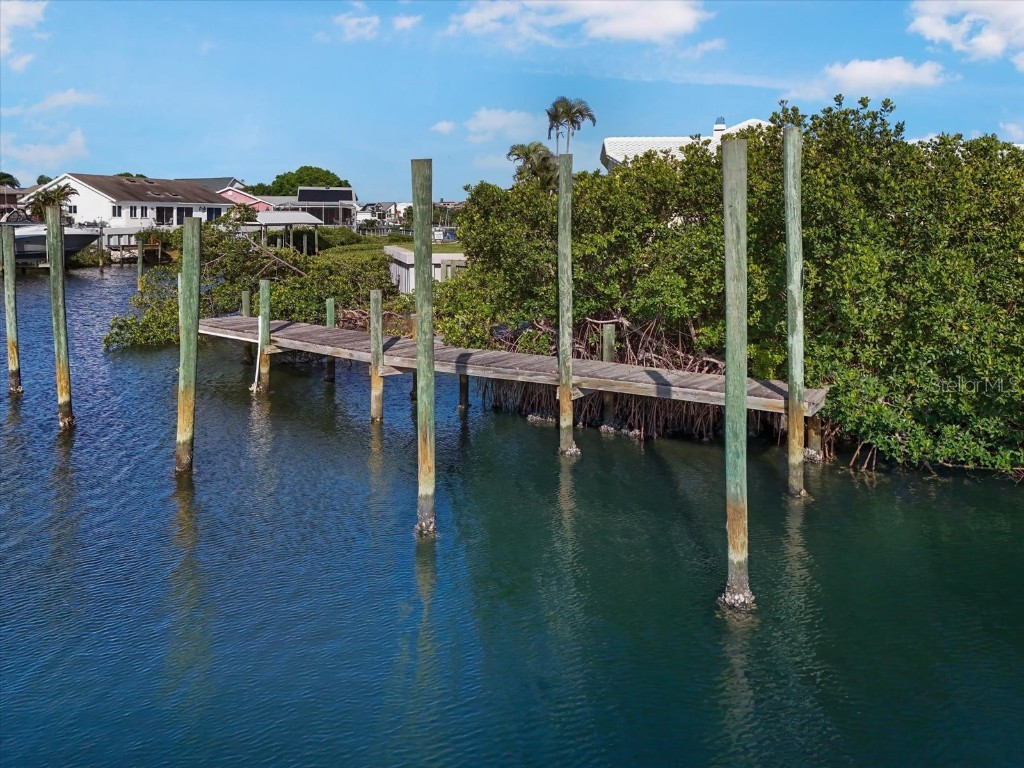 6646 Dolphin Cove Drive Apollo Beach FL 33572 TB8367687 image10