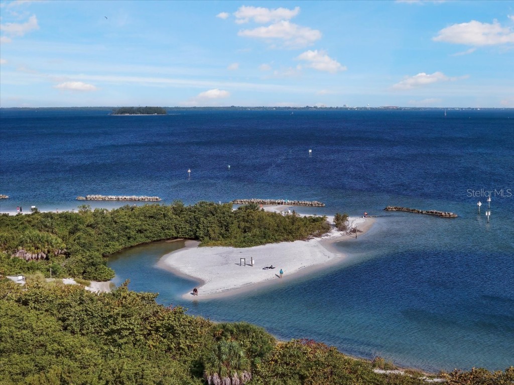 6646 Dolphin Cove Drive Apollo Beach FL 33572 TB8367687 image8