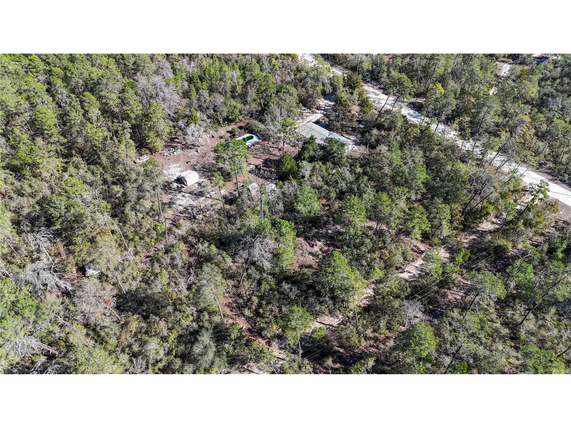 6646 N Percale Terrace Dunnellon FL 34433 OM718606 image12