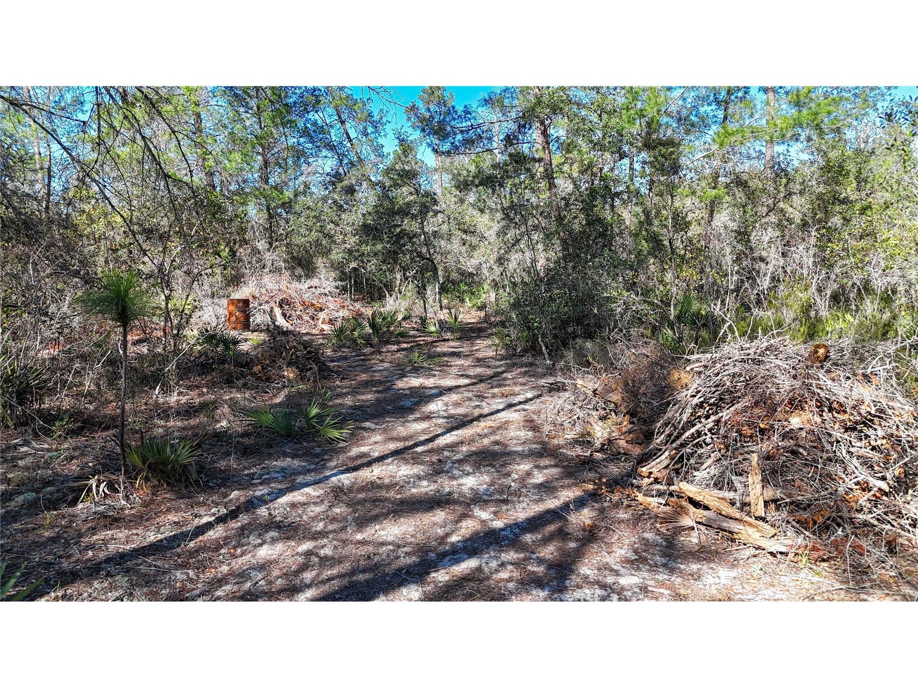 6646 N Percale Terrace Dunnellon FL 34433 OM718606 image16