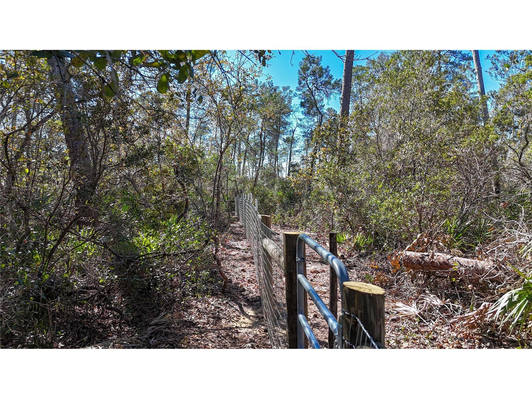 6646 N Percale Terrace Dunnellon FL 34433 OM718606 image17