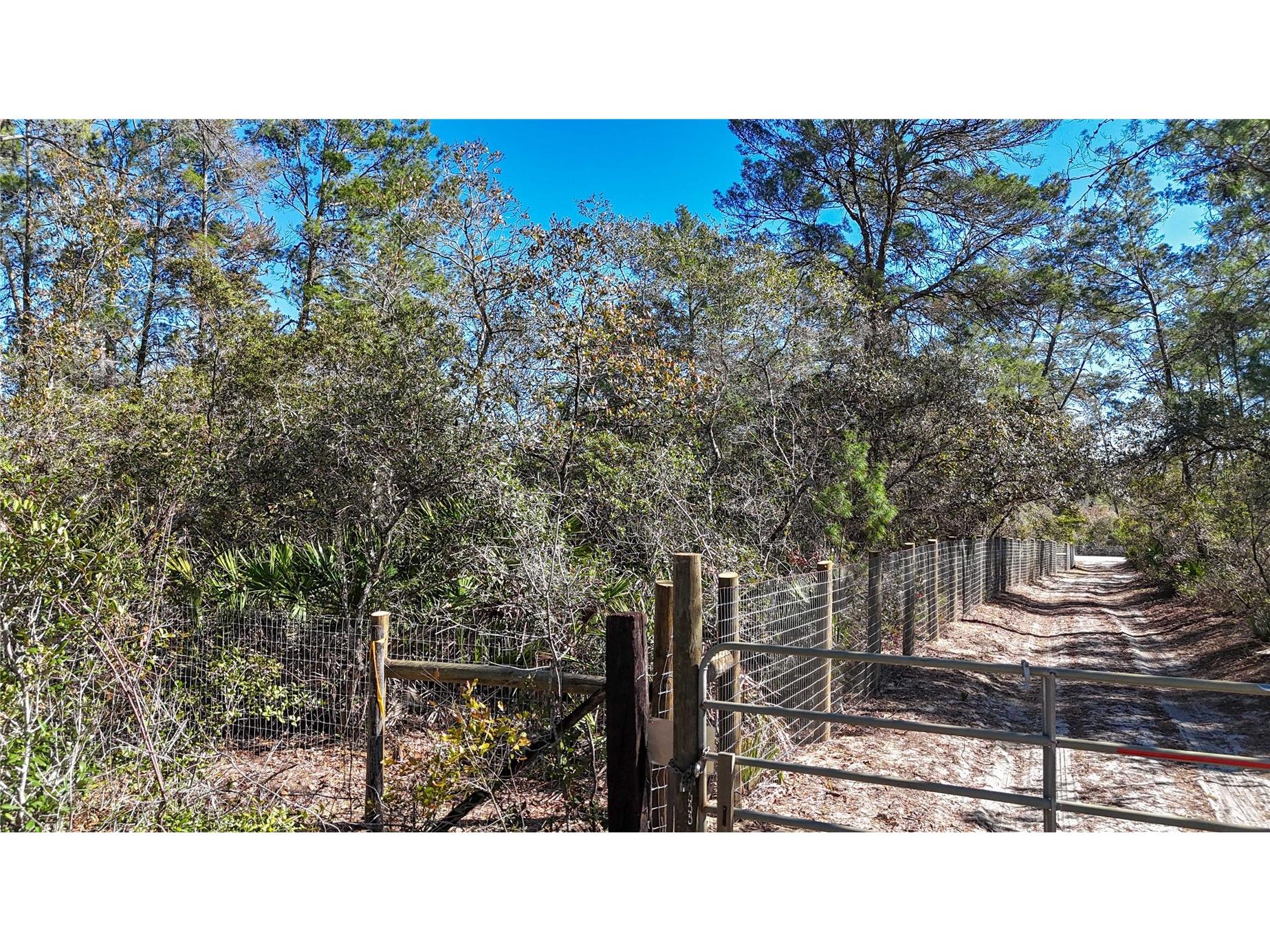 6646 N Percale Terrace Dunnellon FL 34433 OM718606 image18