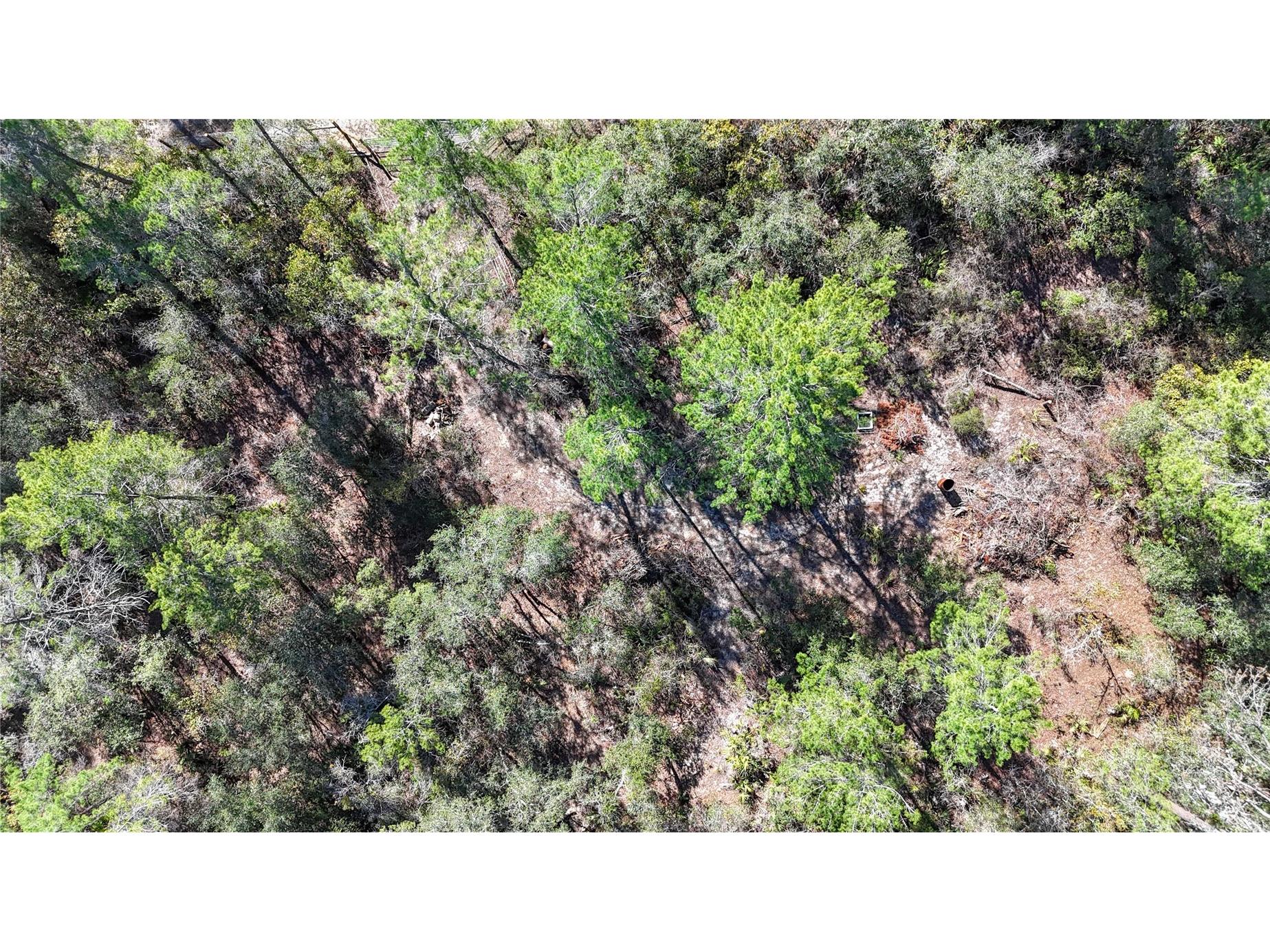 6646 N Percale Terrace Dunnellon FL 34433 OM718606 image19