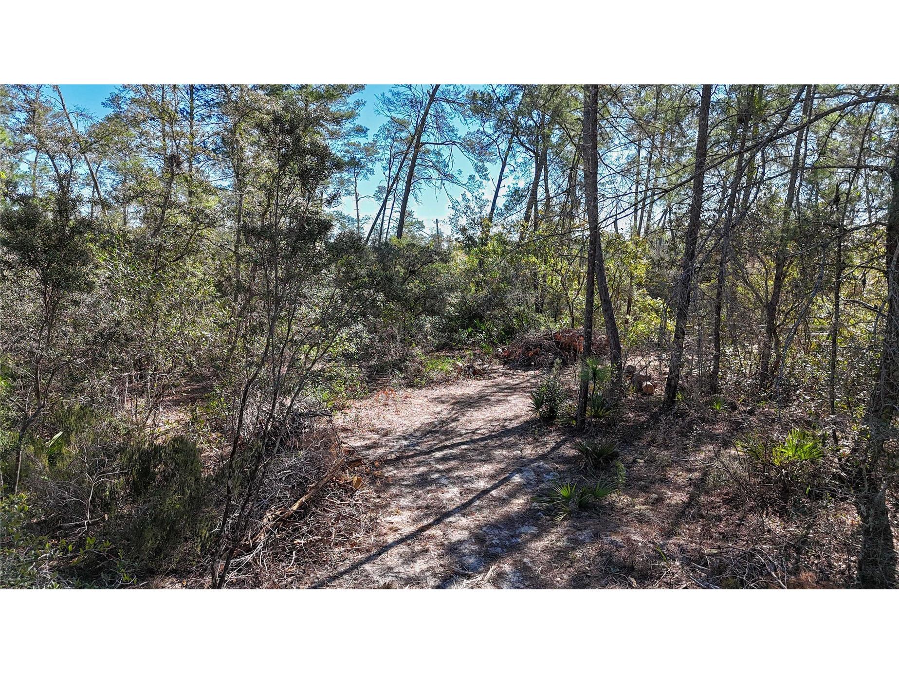 6646 N Percale Terrace Dunnellon FL 34433 OM718606 image20