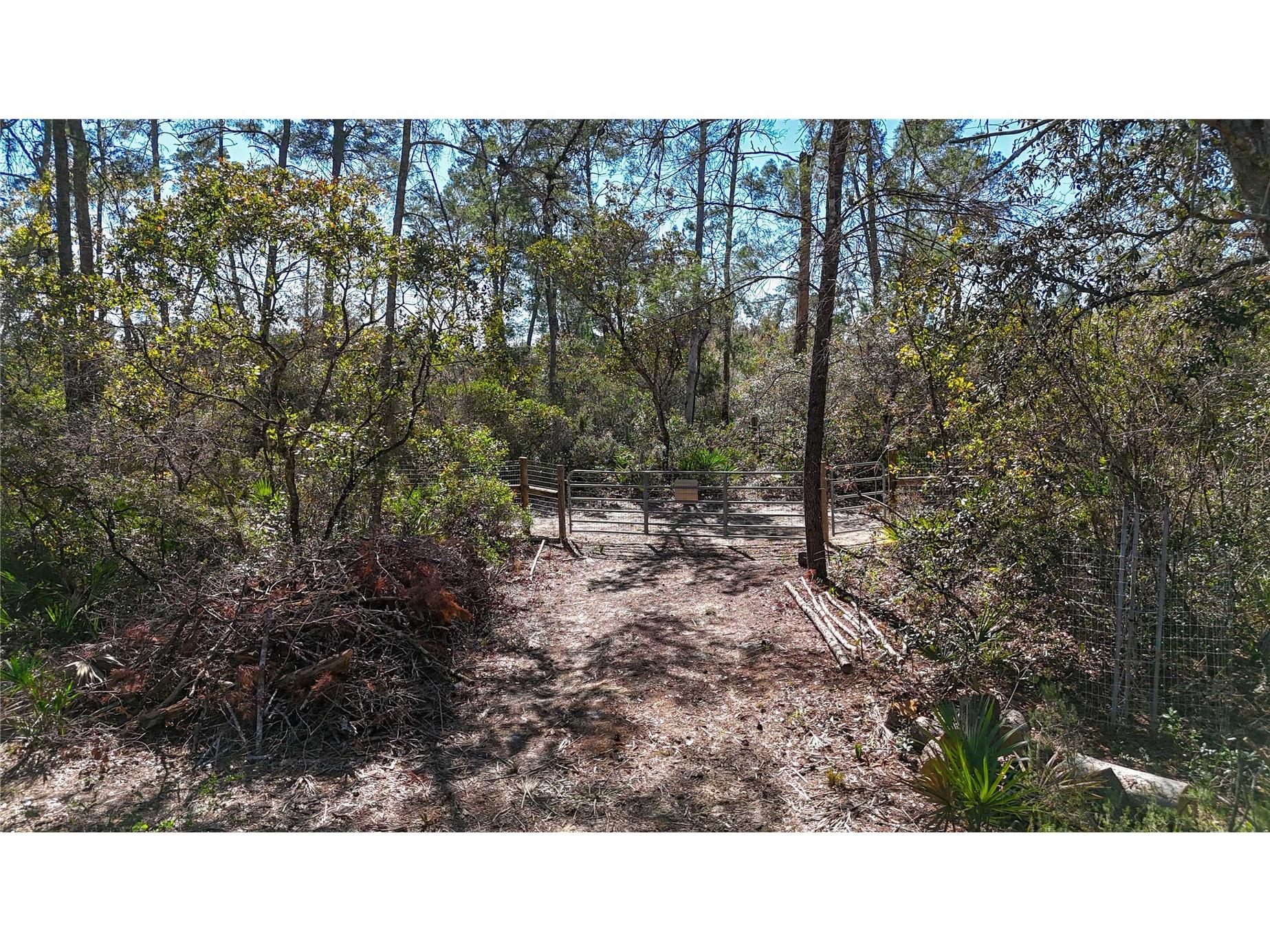 6646 N Percale Terrace Dunnellon FL 34433 OM718606 image21