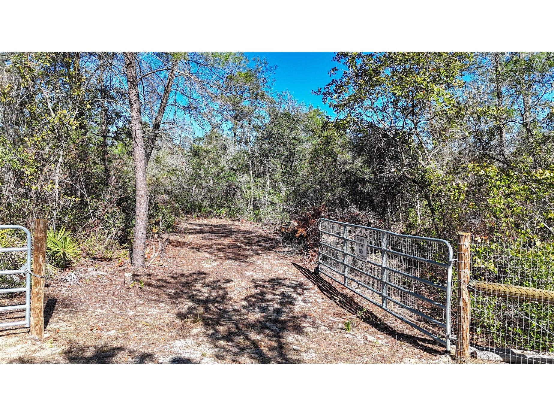 6646 N Percale Terrace Dunnellon FL 34433 OM718606 image23