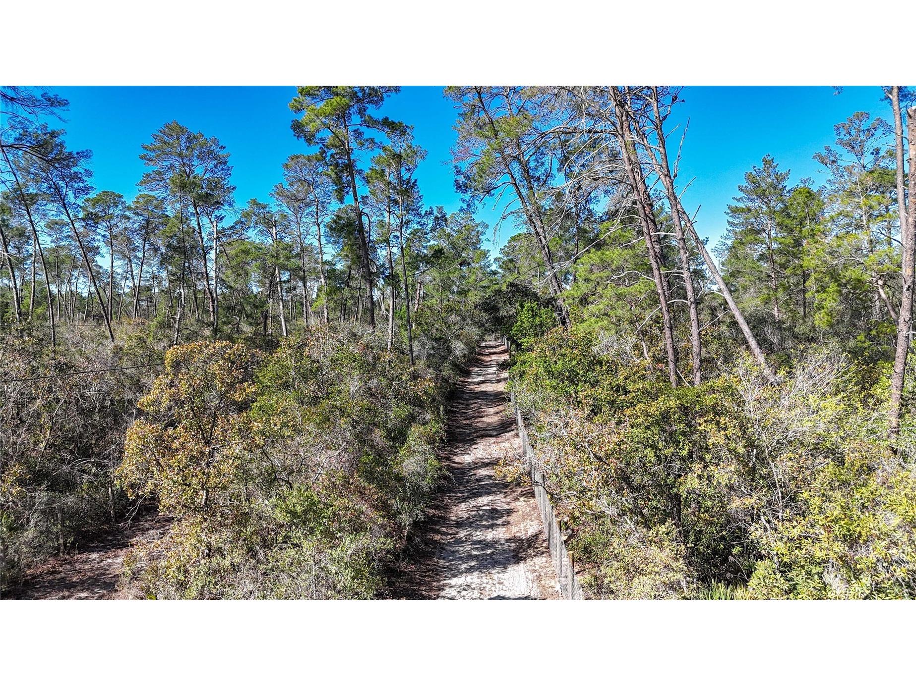 6646 N Percale Terrace Dunnellon FL 34433 OM718606 image4