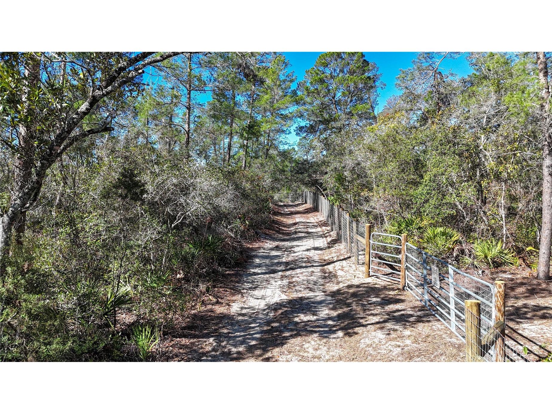 6646 N Percale Terrace Dunnellon FL 34433 OM718606 image5