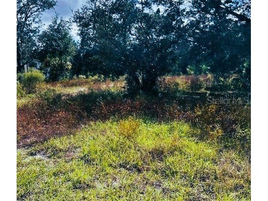 6646 W Park Drive Homosassa FL 34446 OM688456 image1