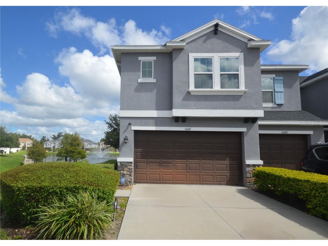 6647 Rocky Park Street Tampa FL 33625 TB8300944 image1