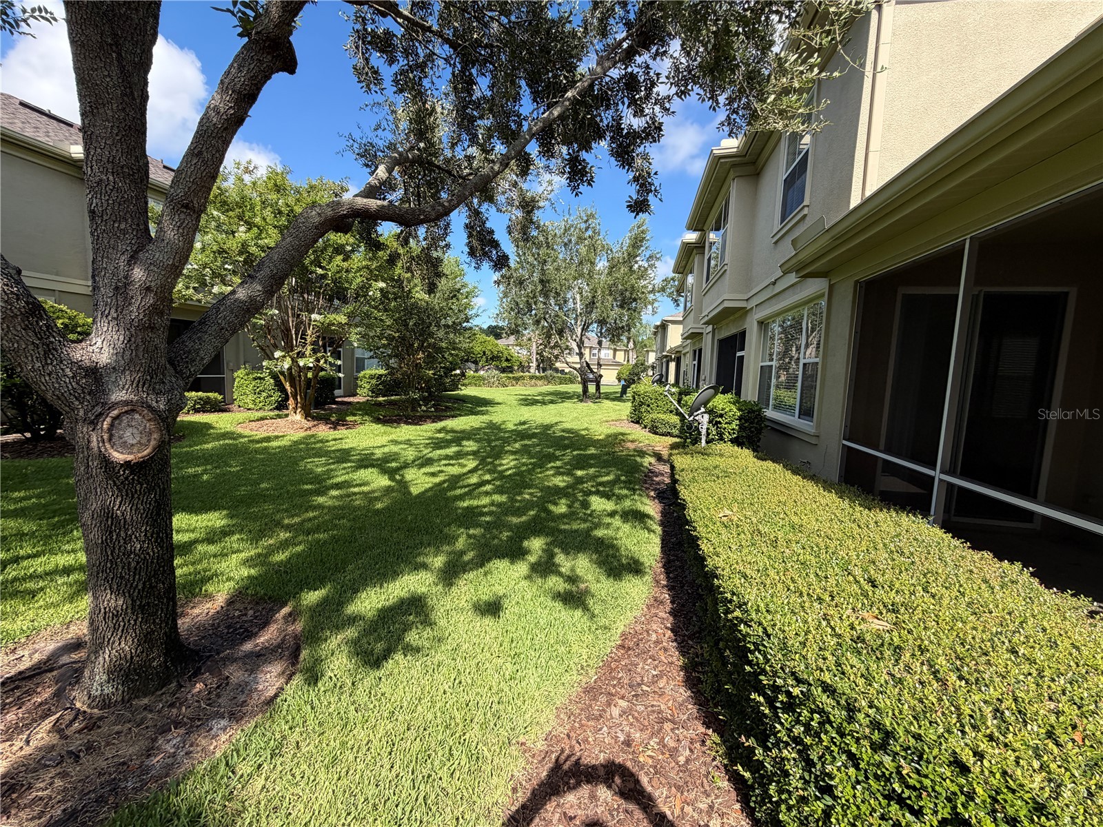 6648 83rd Avenue N Pinellas Park FL 33781 TB8525842 image28