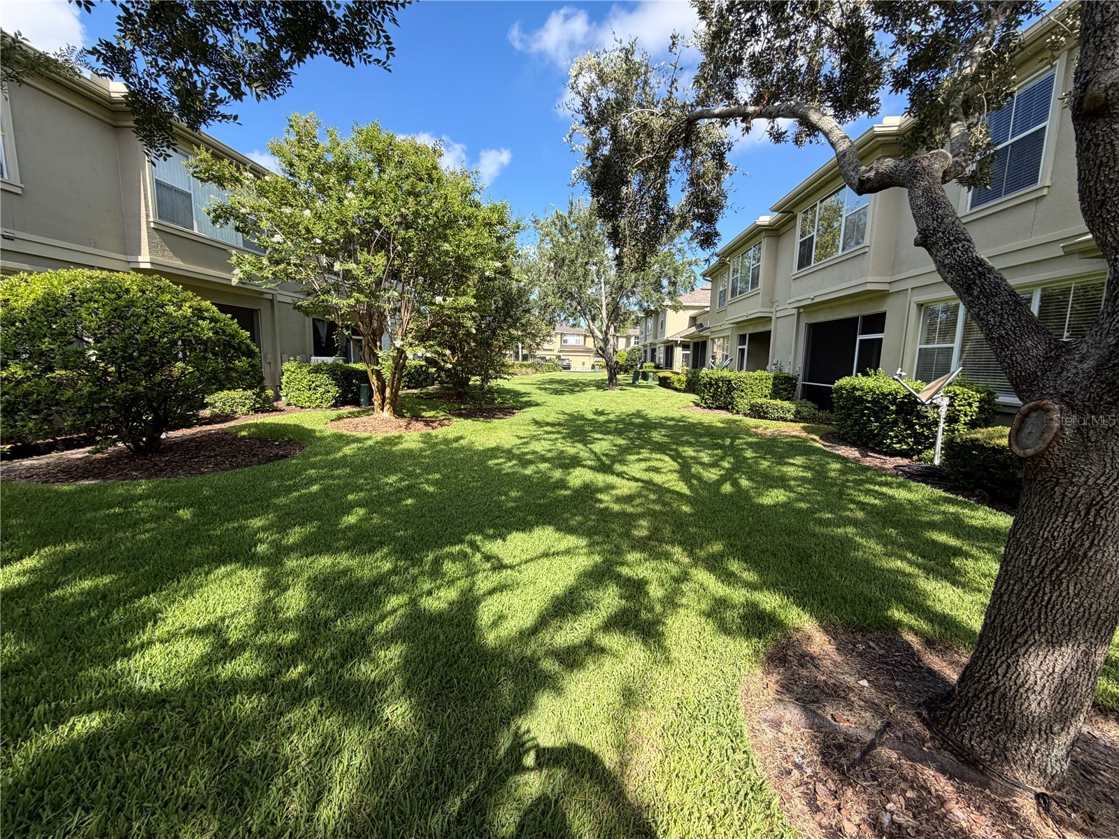 6648 83rd Avenue N Pinellas Park FL 33781 TB8525842 image29