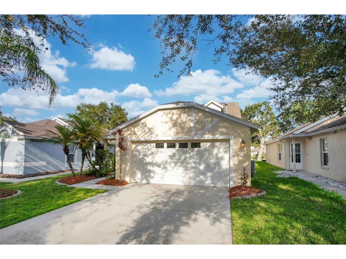 6648 Summer Cove Drive Riverview FL 33578 O6152237 image1