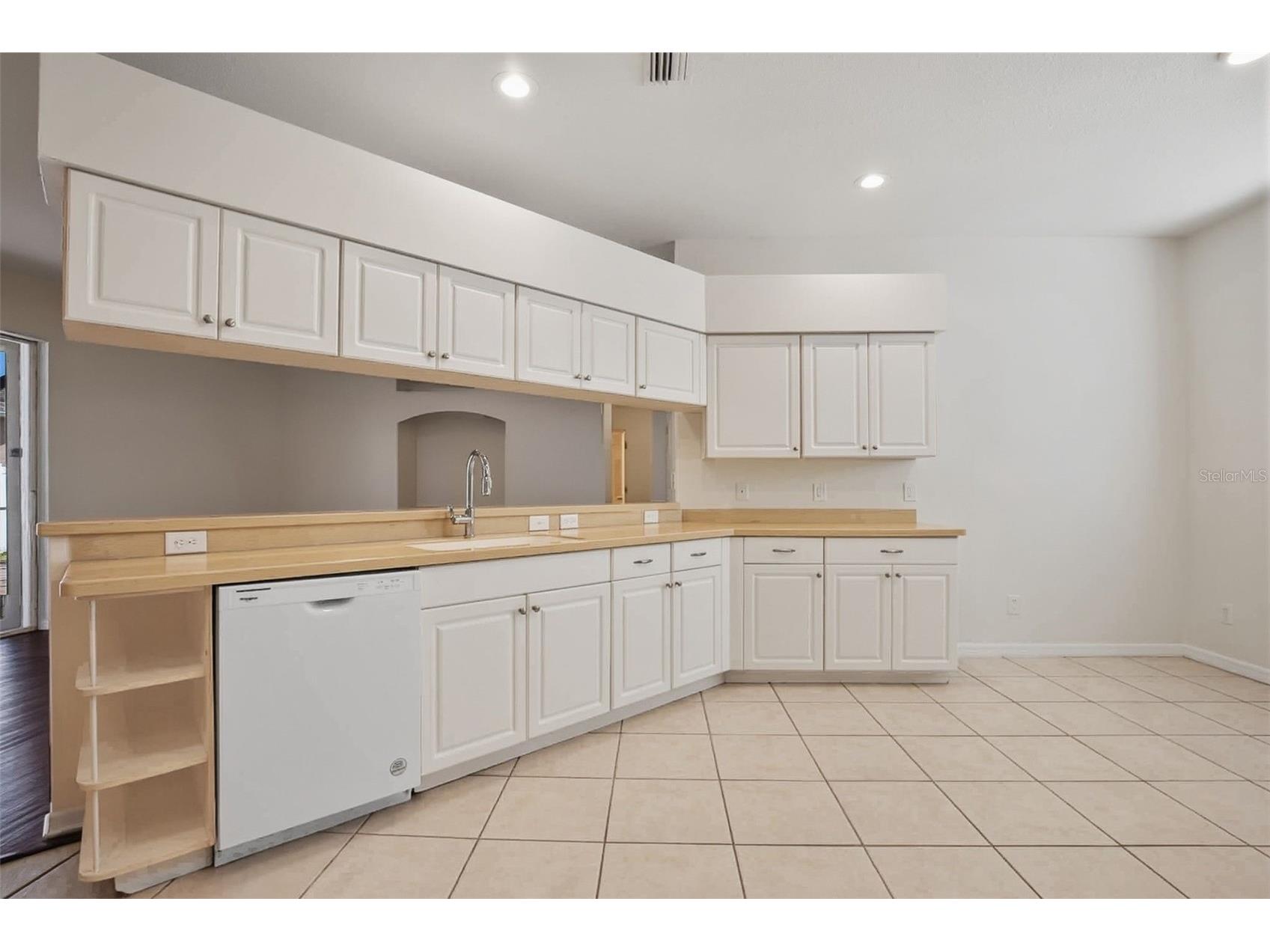 6648 Thackston Drive Riverview FL 33578 O6388680 image10