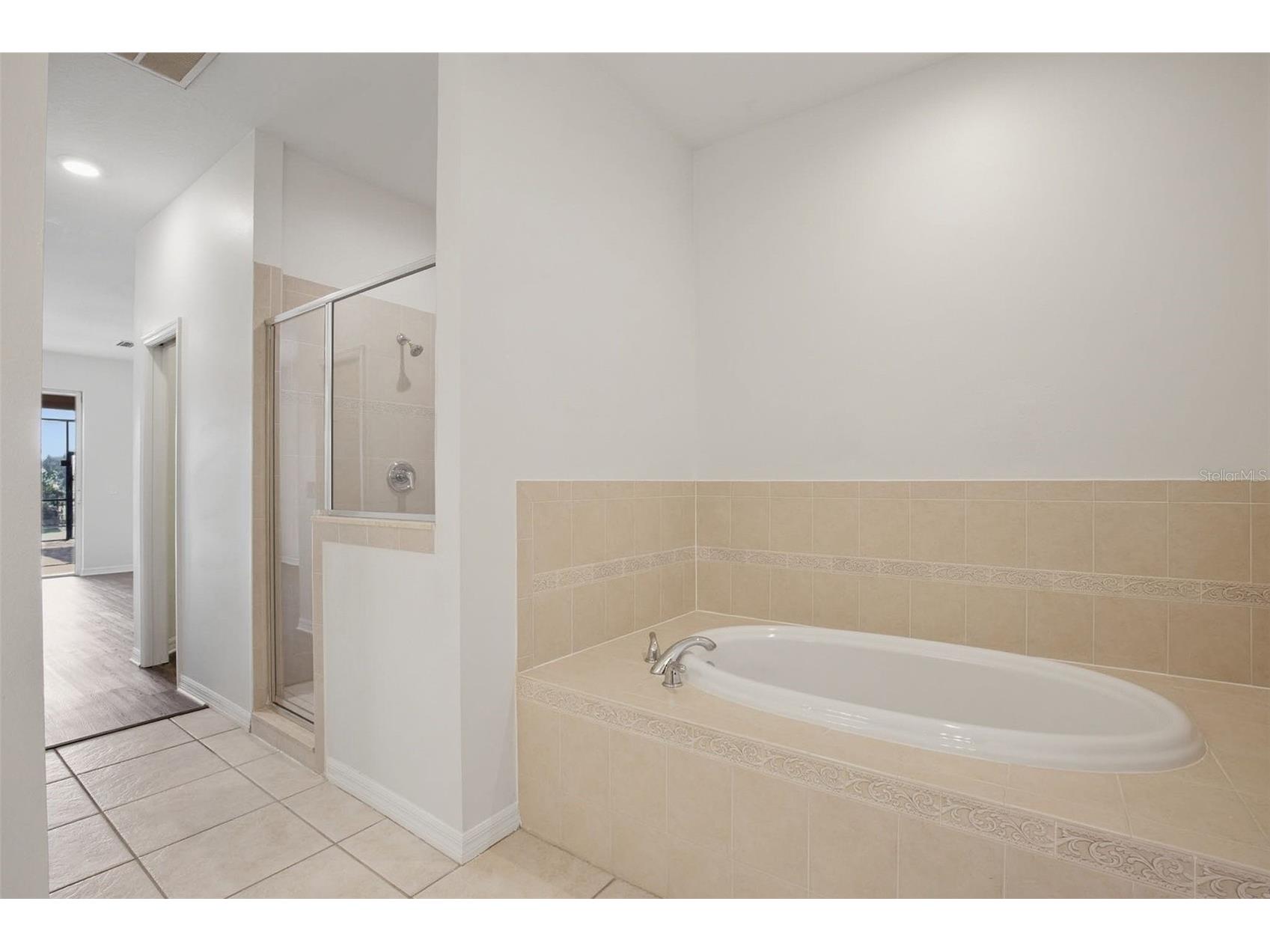 6648 Thackston Drive Riverview FL 33578 O6388680 image29