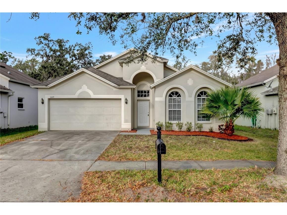 6649 Bluff Meadow Court Wesley Chapel FL 33545 T3430830 image1