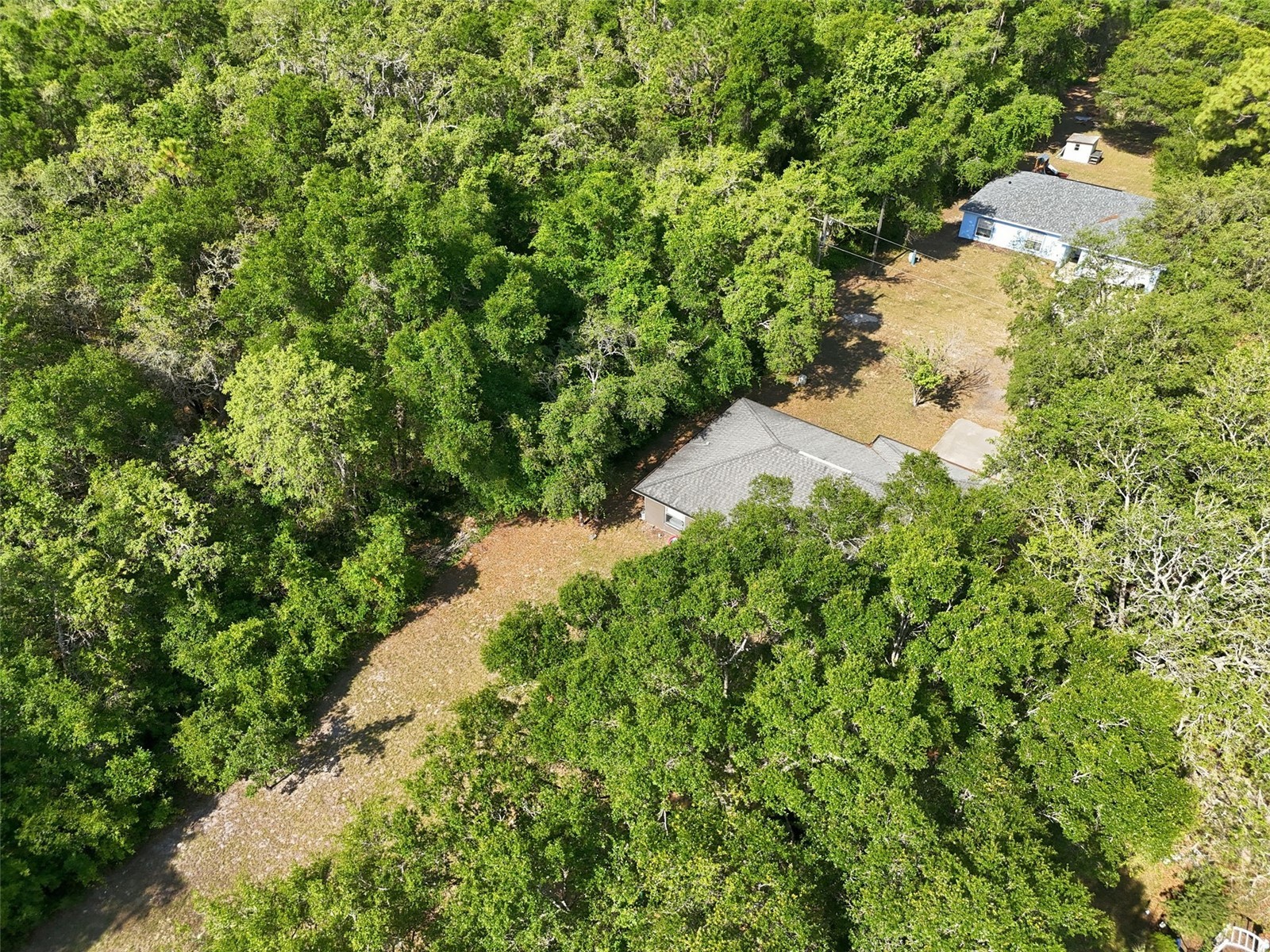 6649 N Delta Terrace Hernando FL 34442 W7884272 image6