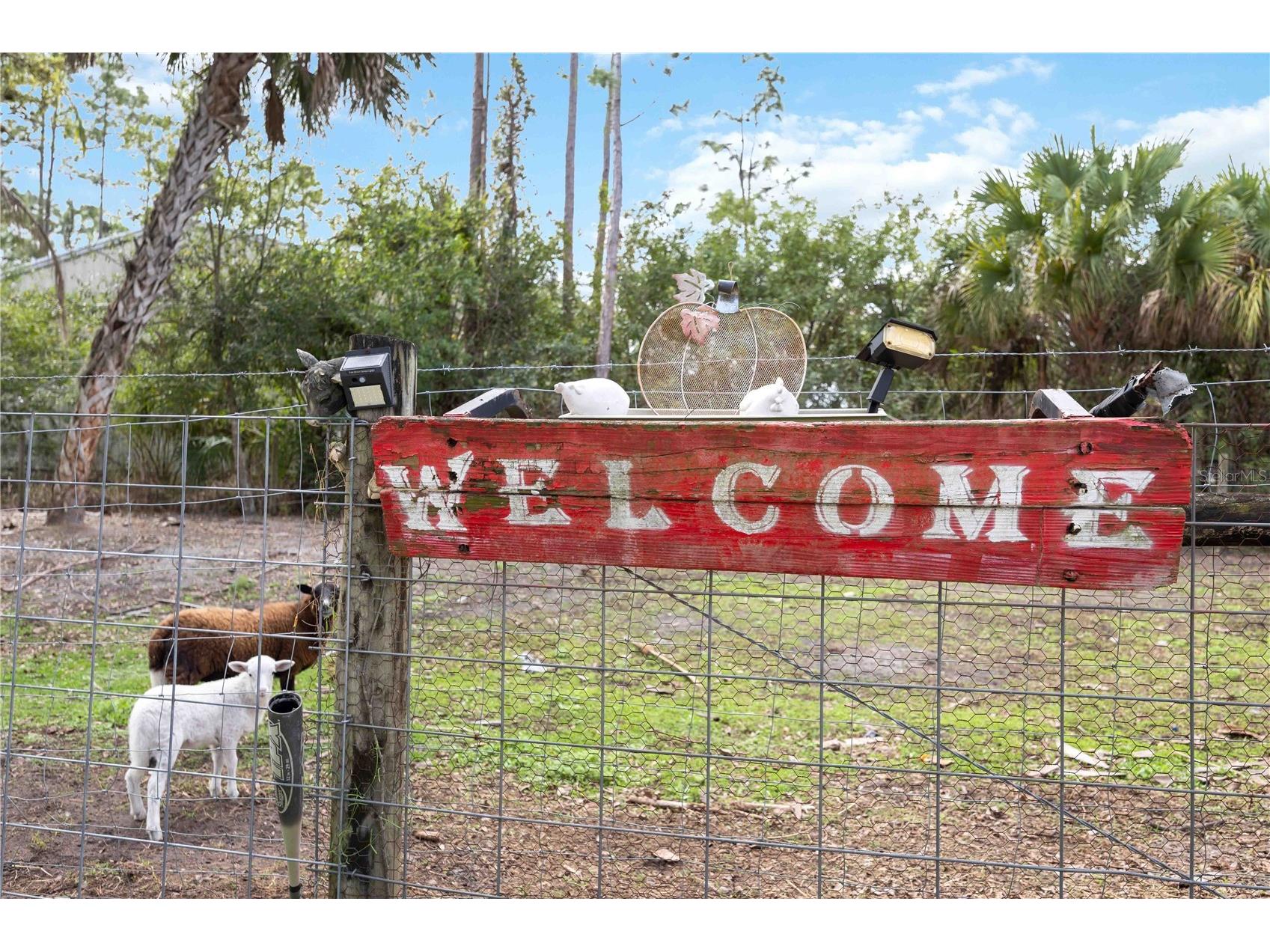 6649 Pimlico Street North Port FL 34291 A4686294 image36