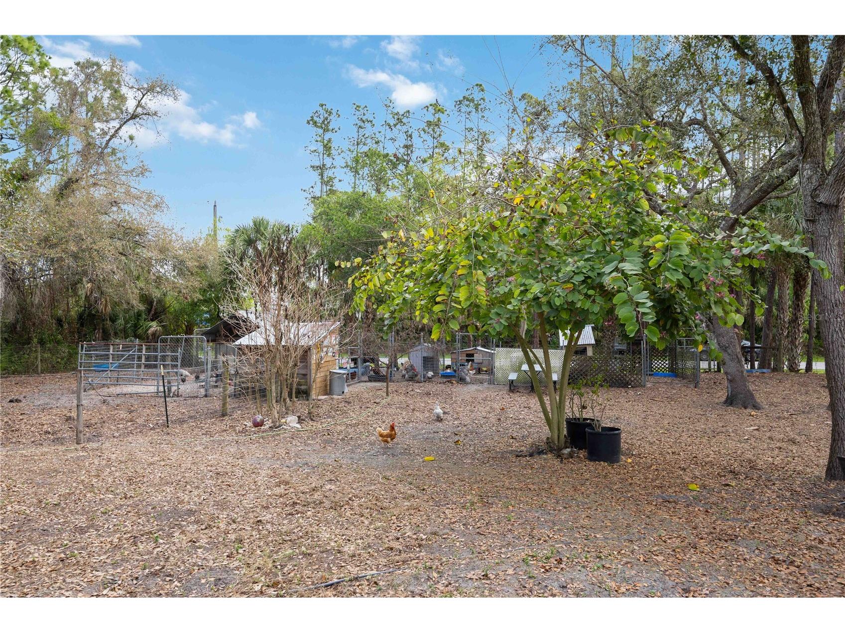 6649 Pimlico Street North Port FL 34291 A4686294 image37