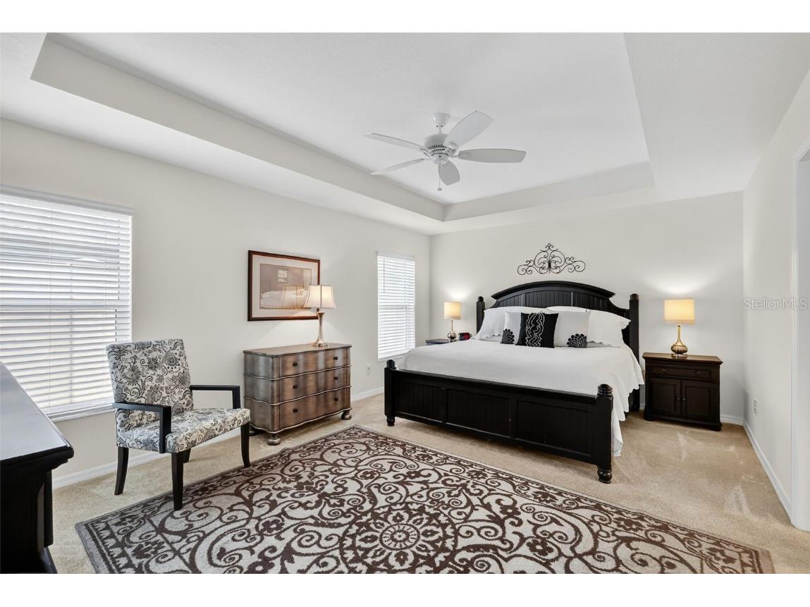 6649 Tammy Lane The Villages FL 34762 G5103873 image17