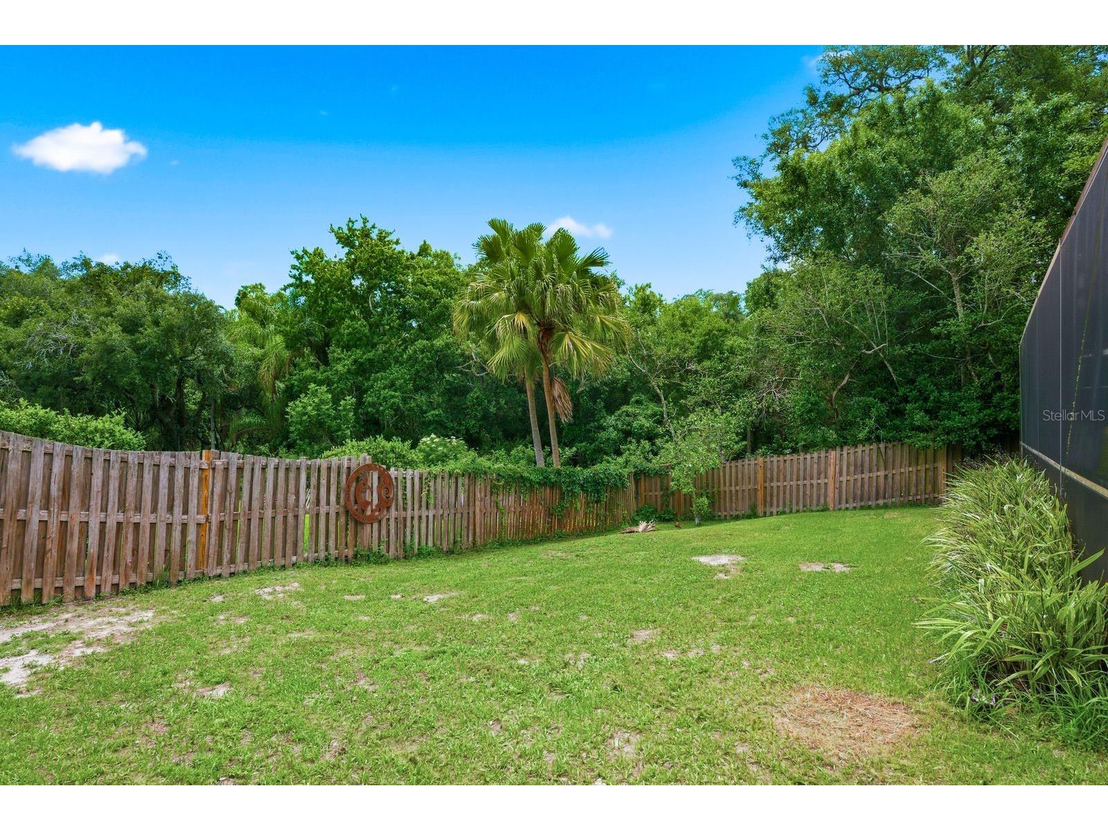 665 Deer Run N Palm Harbor FL 34684 TB8515549 image42