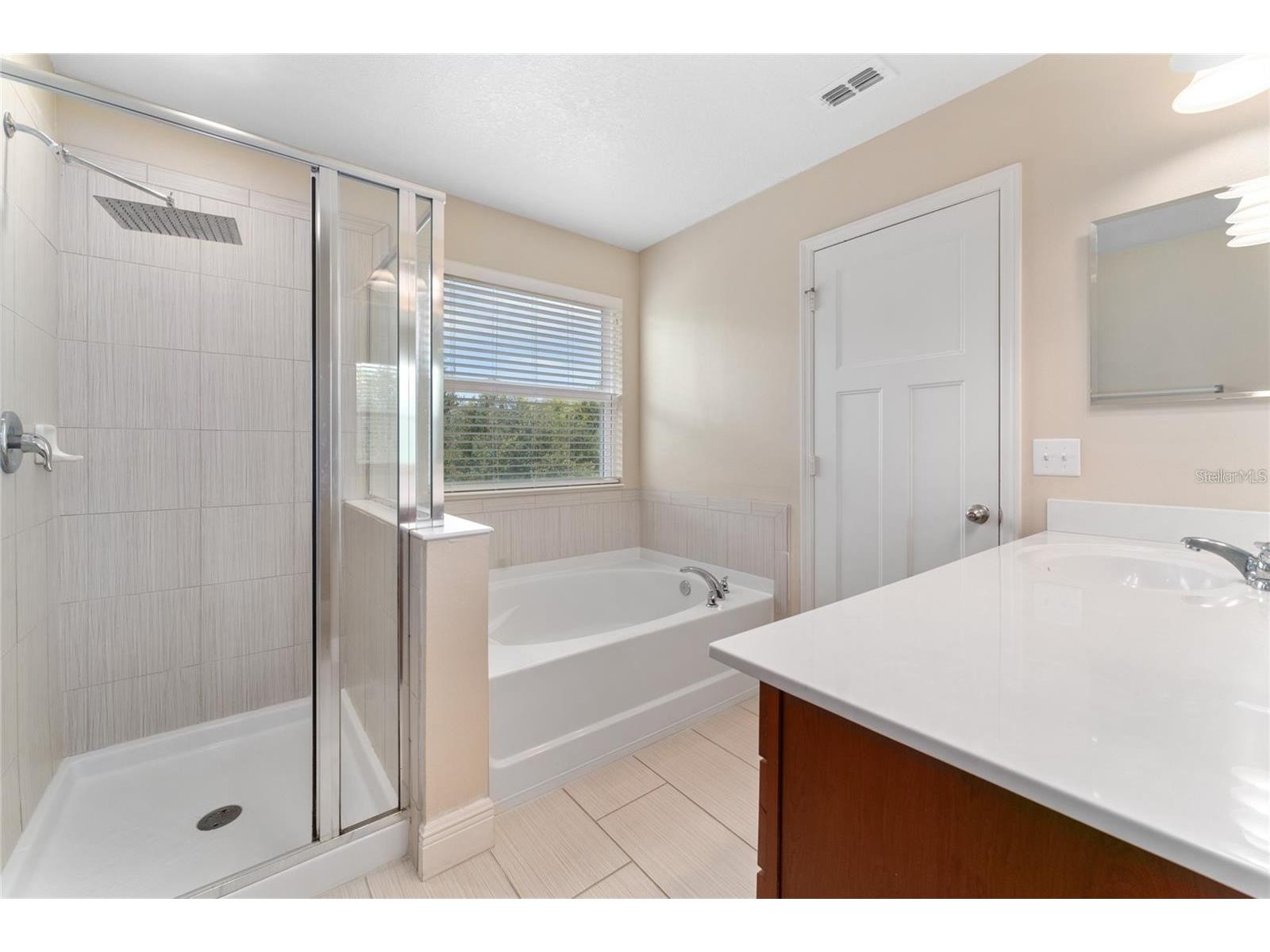 6650 Bridgewater Village Road Windermere FL 34786 O6412833 image19