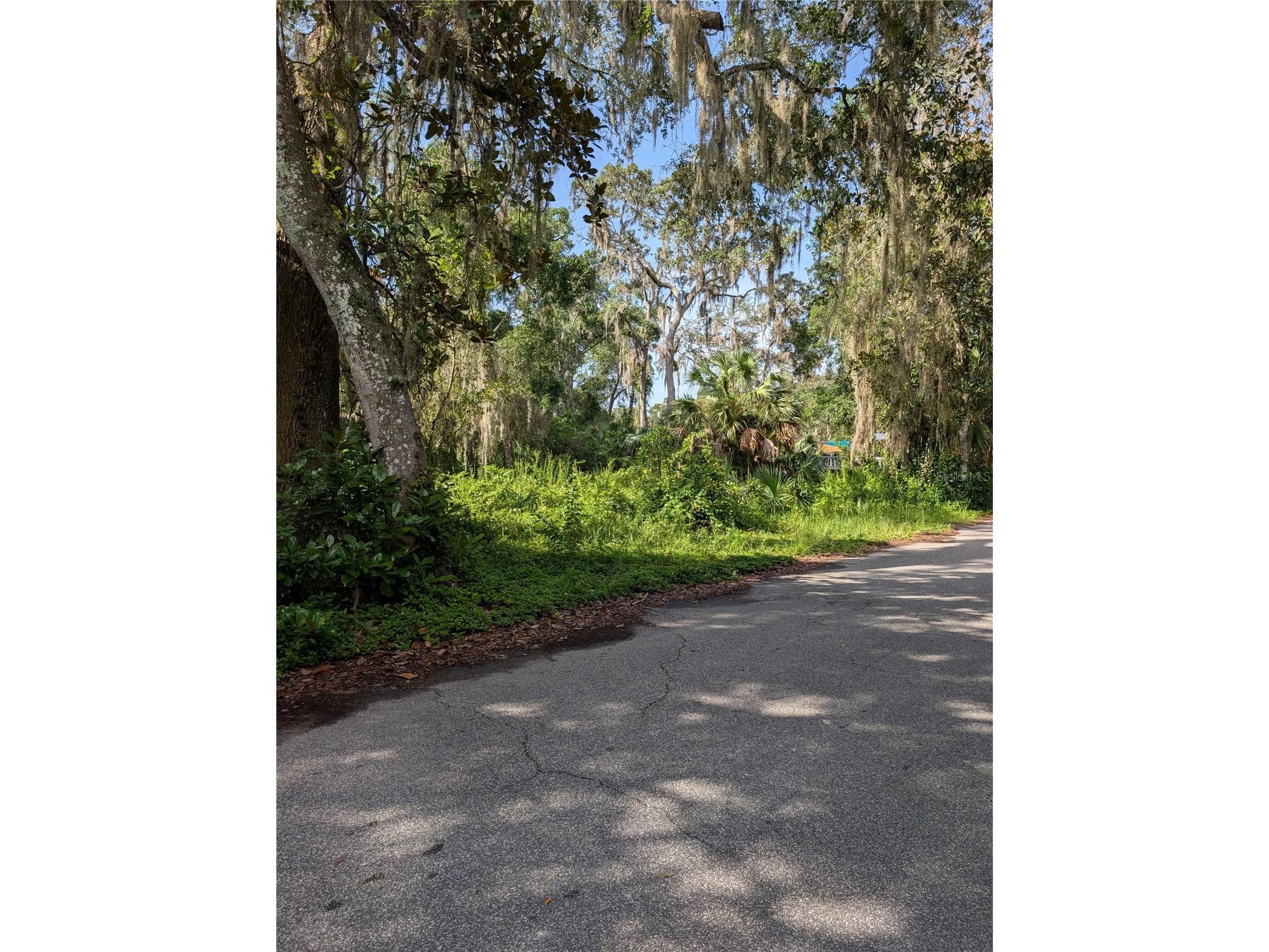 6650 N Beechnut Loop Hernando FL 34442 OM728523 image1