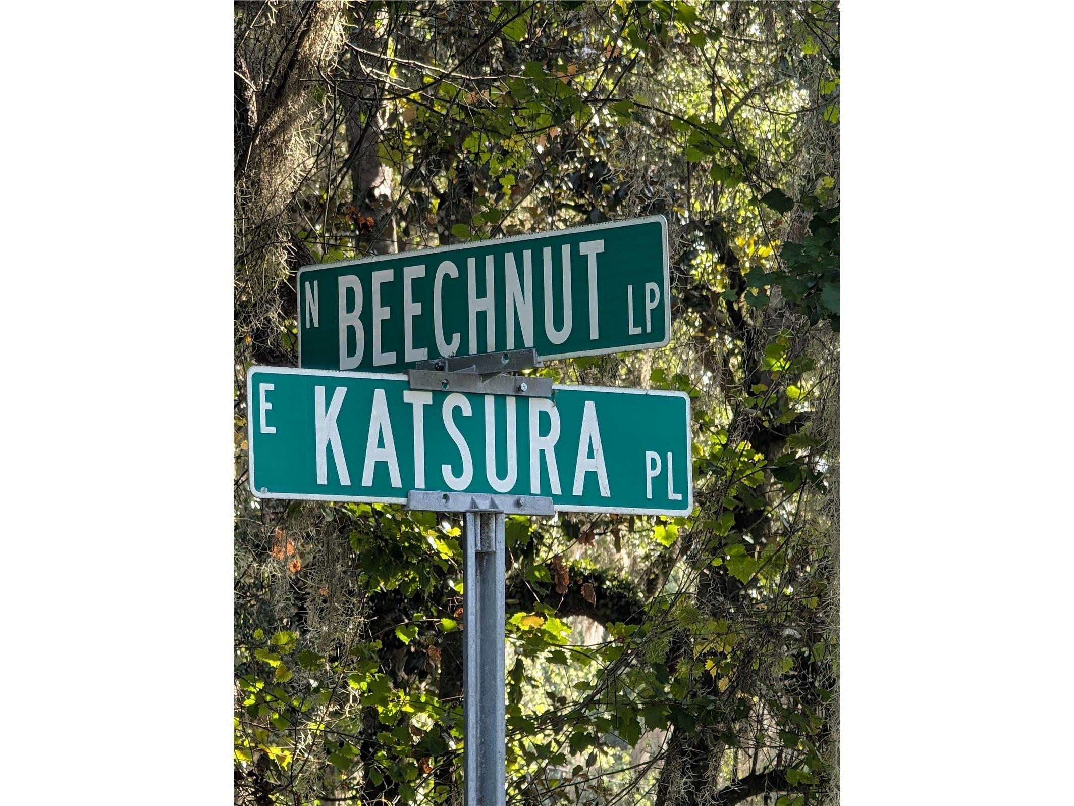 6650 N Beechnut Loop Hernando FL 34442 OM728523 image4