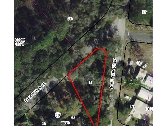 6650 N Beechnut Loop Hernando FL 34442 OM728523 image5