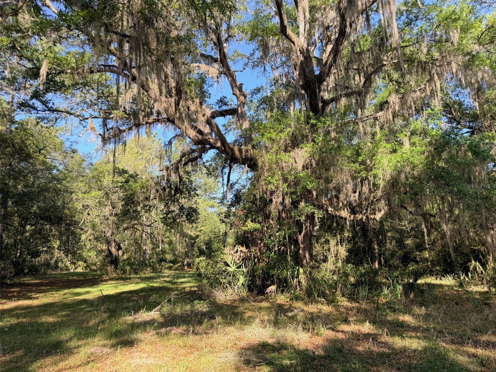 6650 NW 110th Avenue Chiefland FL 32626 GC539649 image10