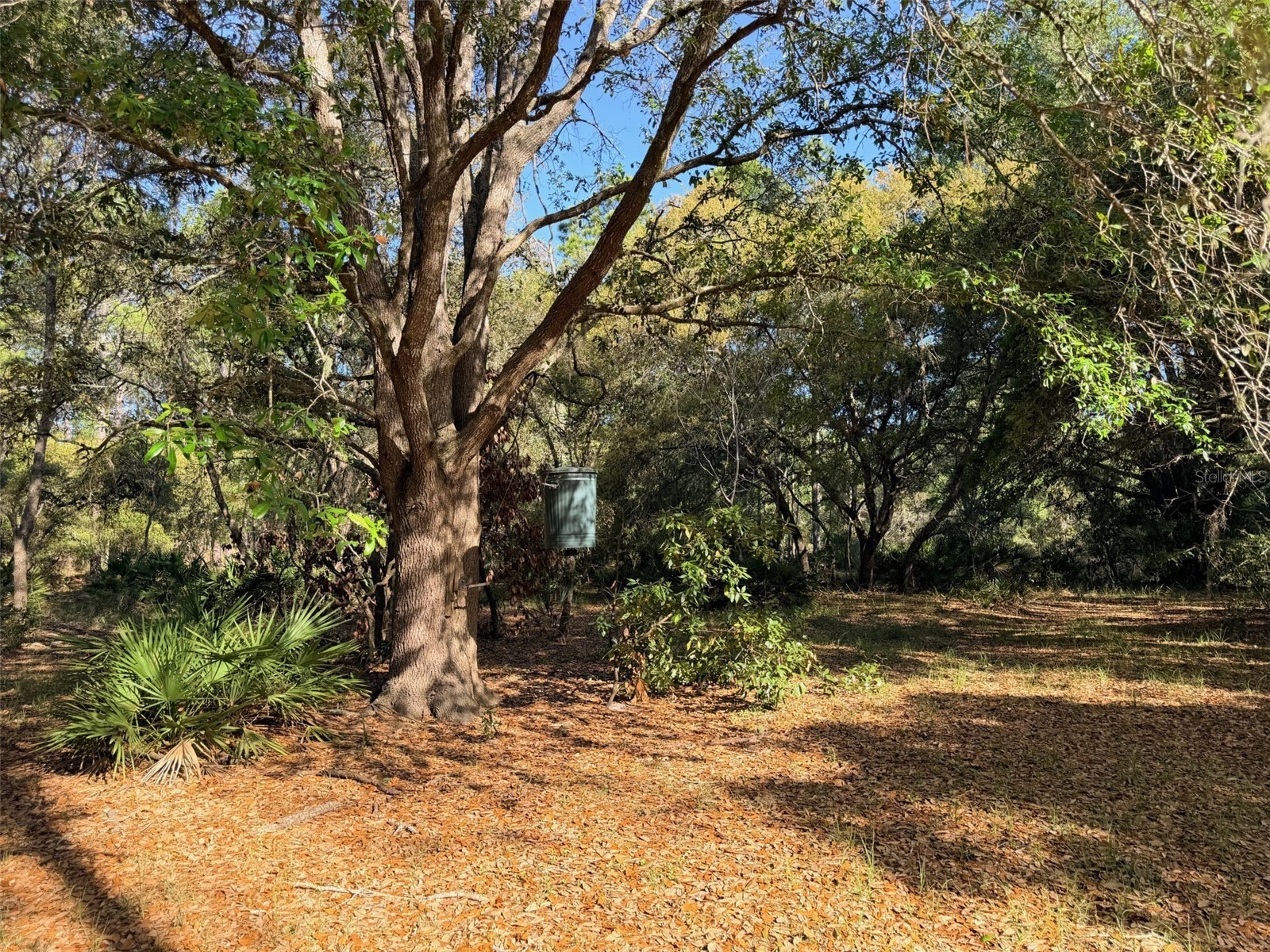 6650 NW 110th Avenue Chiefland FL 32626 GC539649 image11