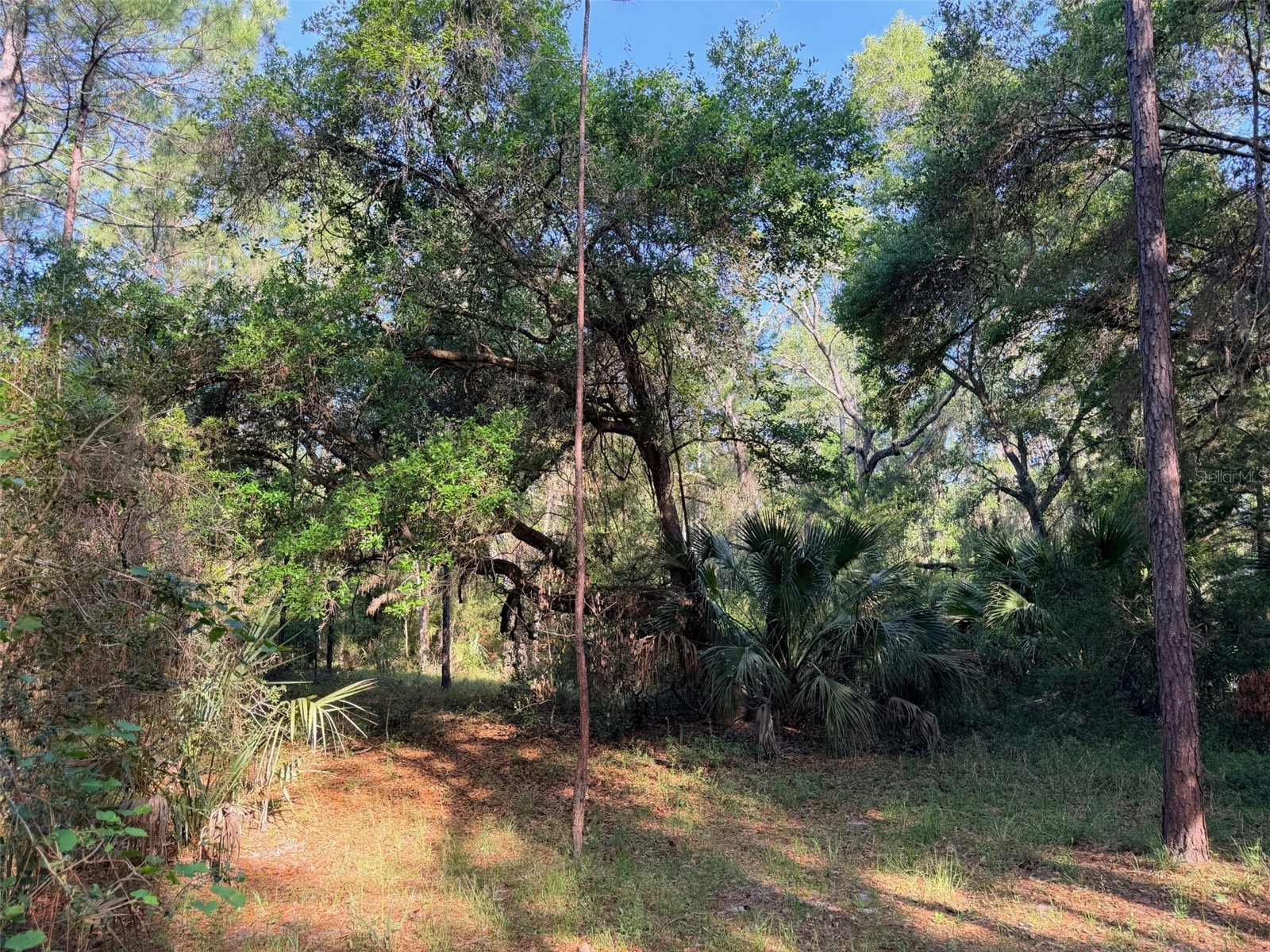6650 NW 110th Avenue Chiefland FL 32626 GC539649 image15