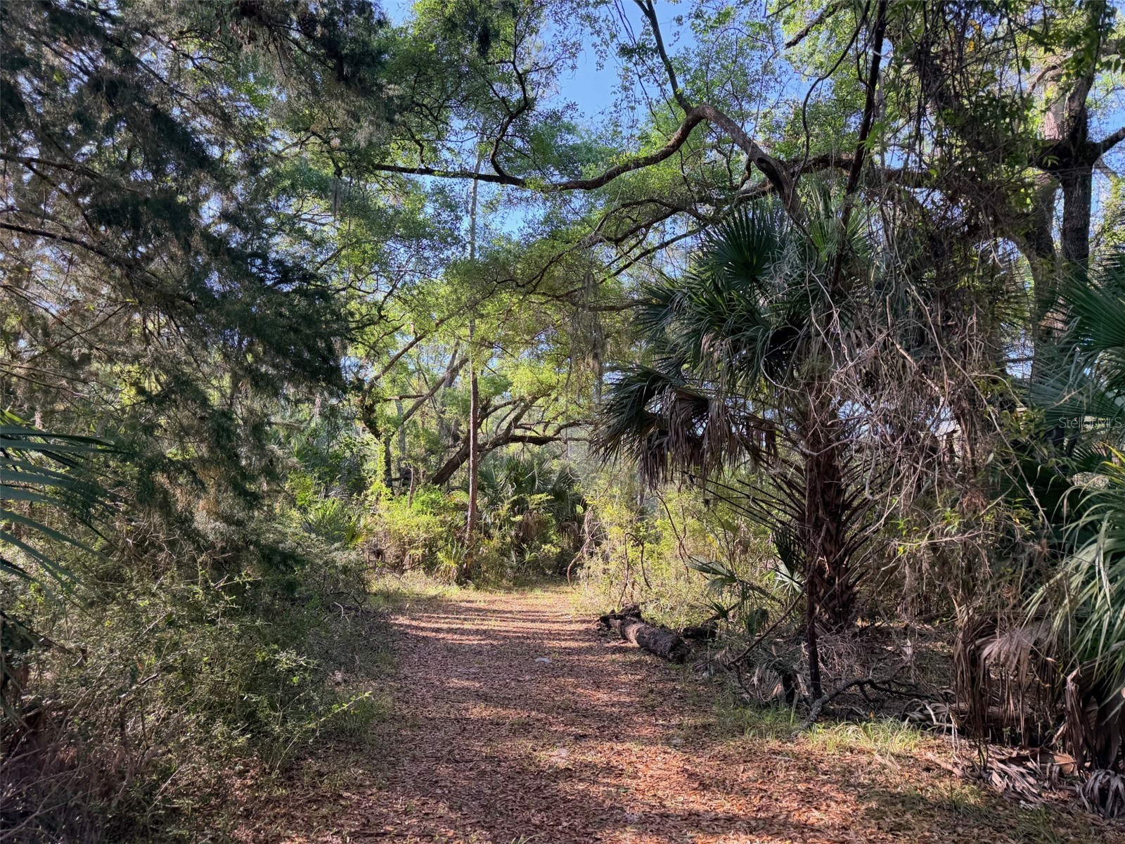 6650 NW 110th Avenue Chiefland FL 32626 GC539649 image16