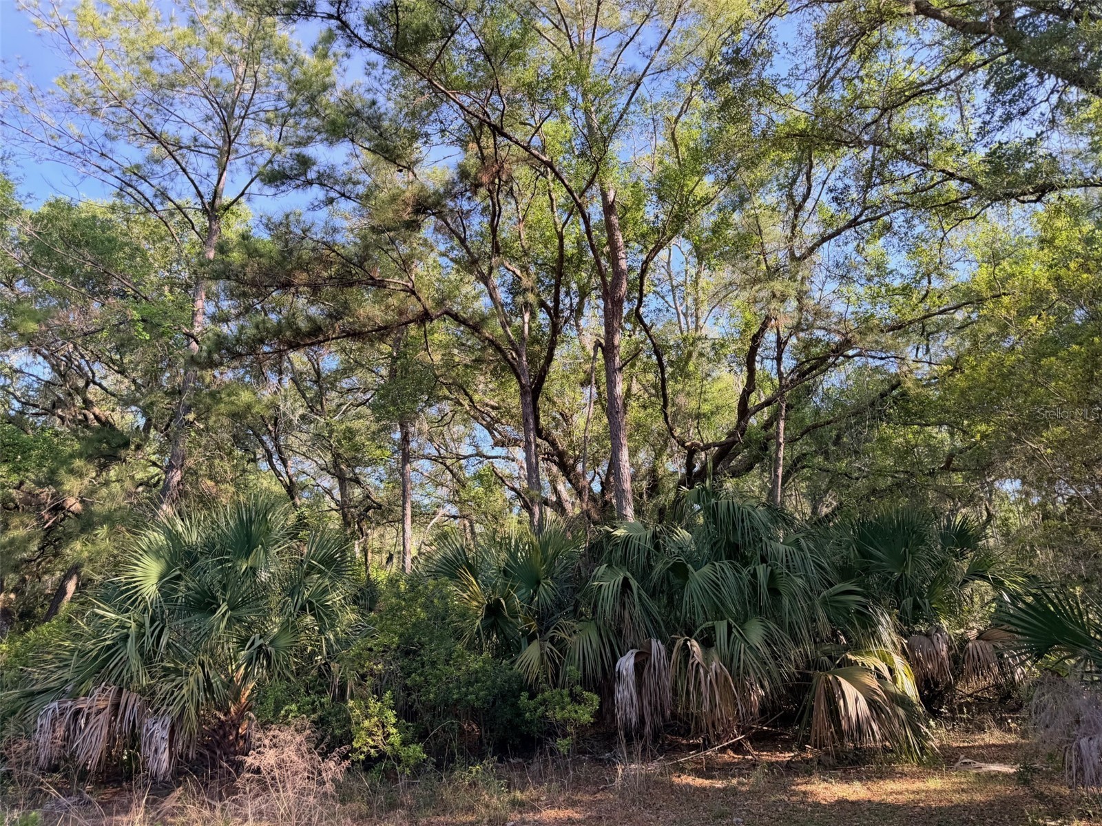 6650 NW 110th Avenue Chiefland FL 32626 GC539649 image18