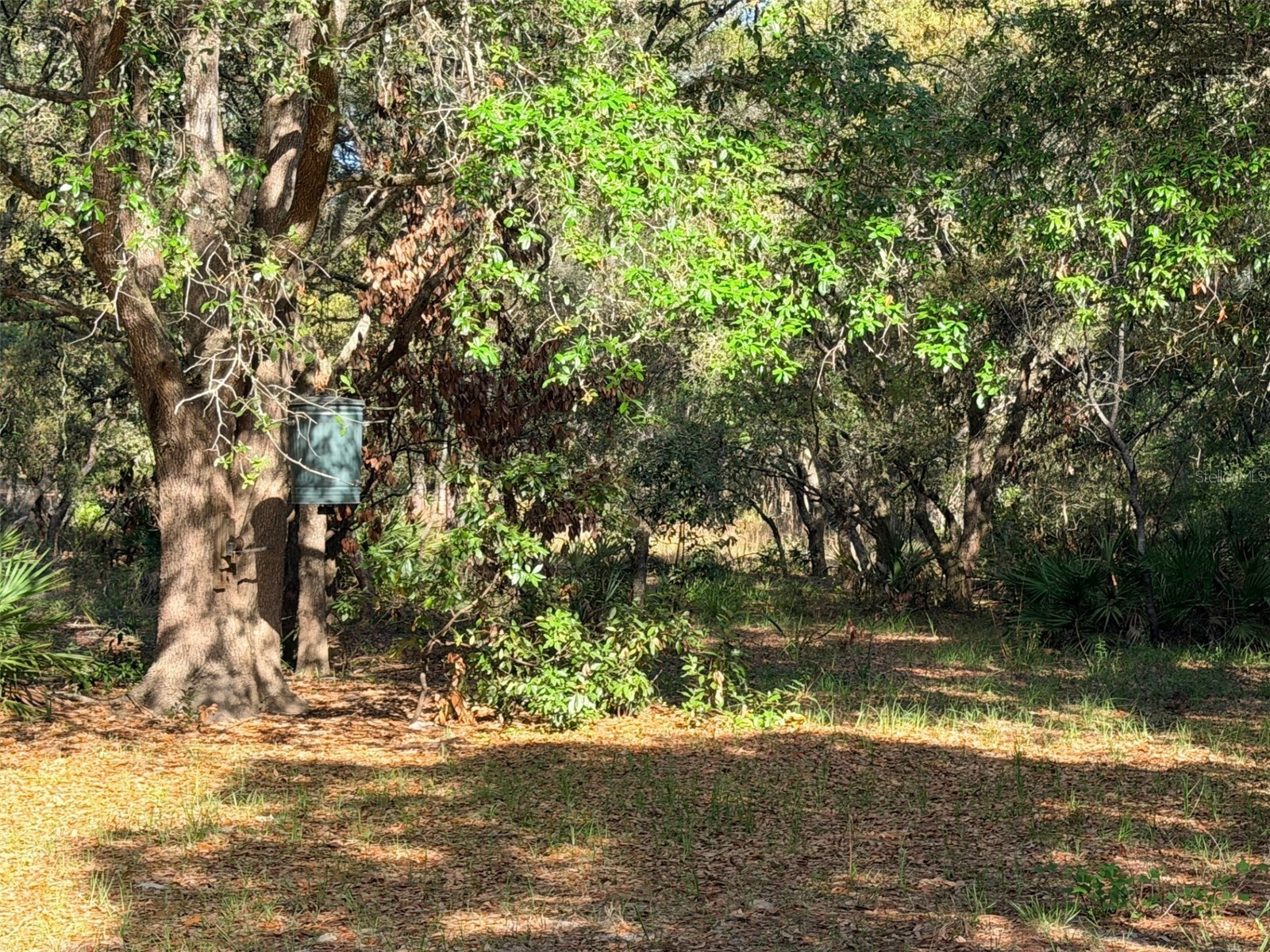 6650 NW 110th Avenue Chiefland FL 32626 GC539649 image19
