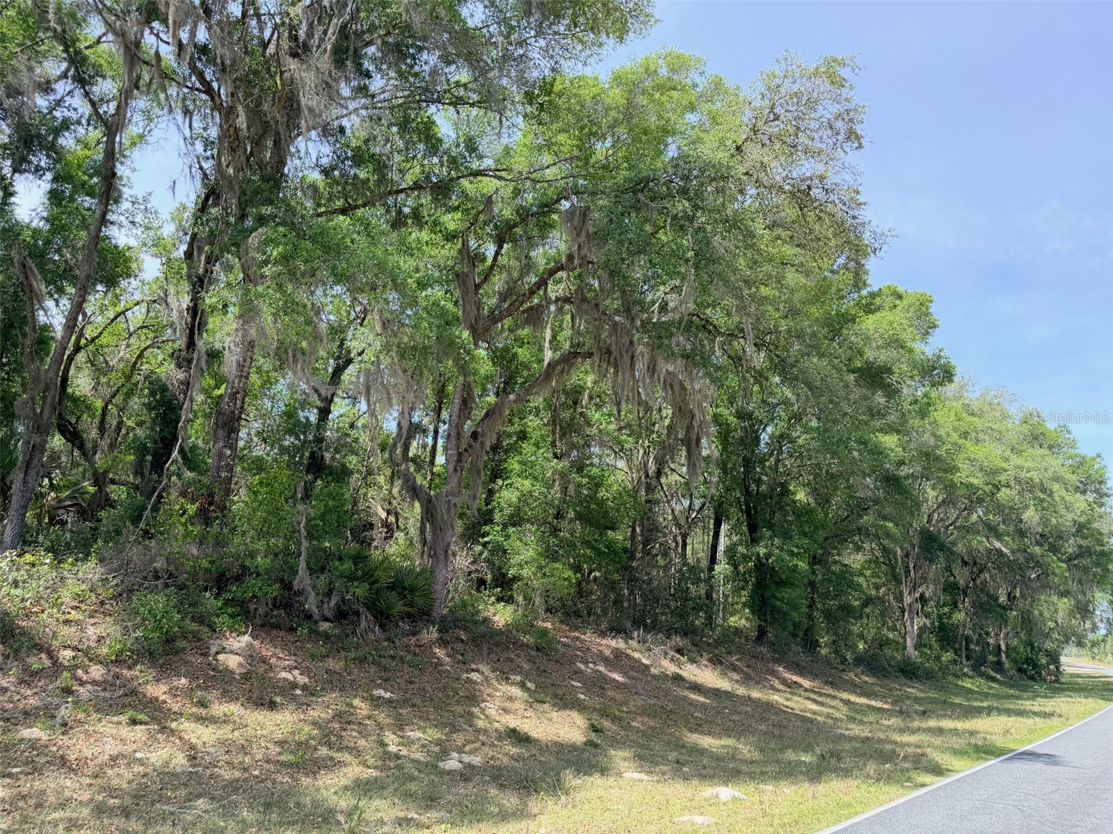 6650 NW 110th Avenue Chiefland FL 32626 GC539649 image21