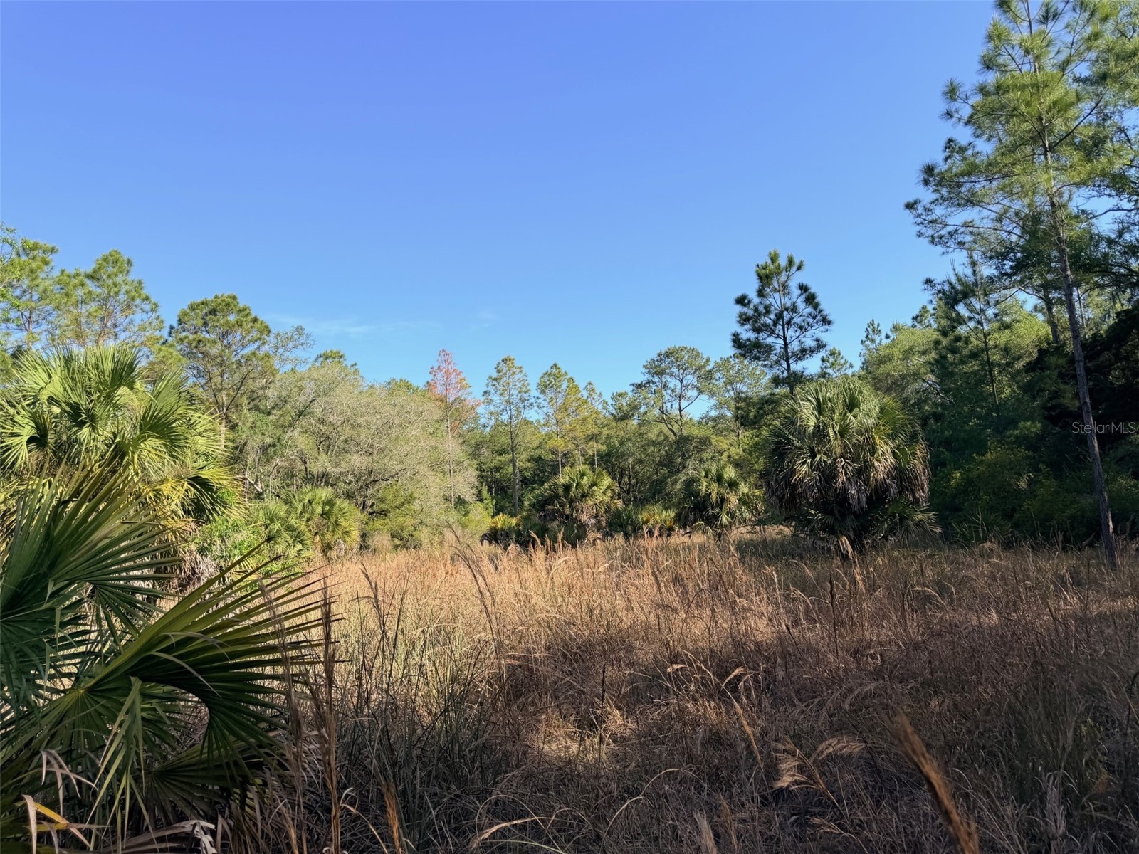 6650 NW 110th Avenue Chiefland FL 32626 GC539649 image22