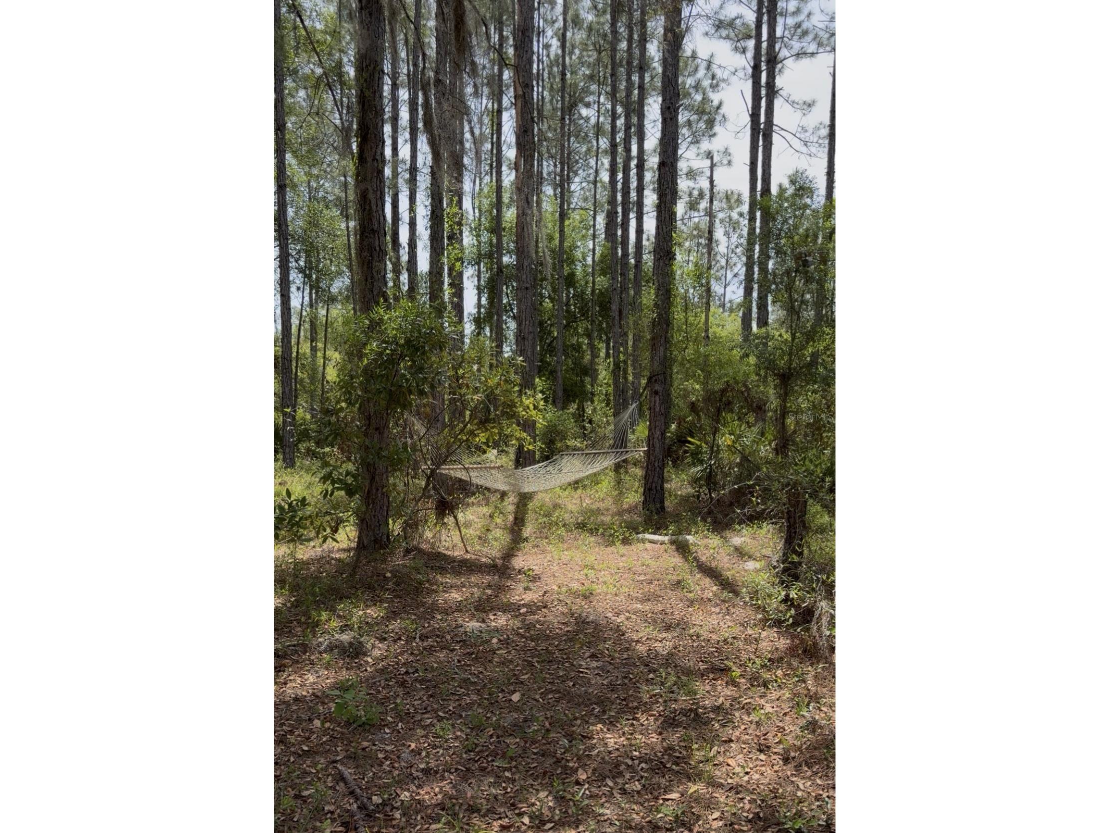 6650 NW 110th Avenue Chiefland FL 32626 GC539649 image5