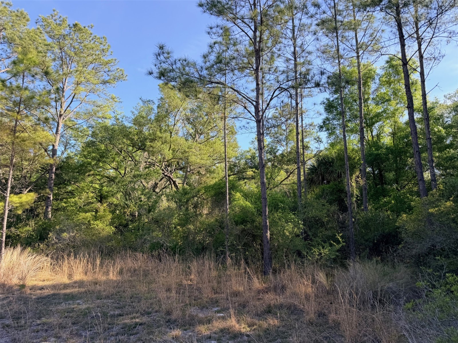 6650 NW 110th Avenue Chiefland FL 32626 GC539649 image9