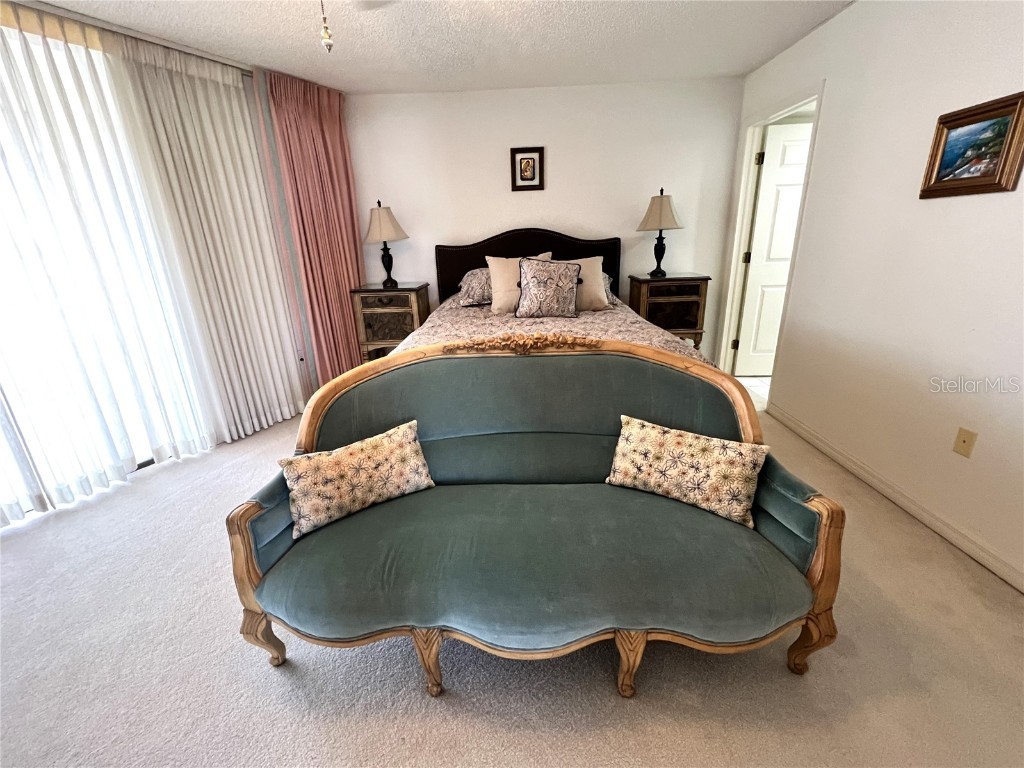 6650 Sunset Way #502 Saint Pete Beach FL 33706 - GULF OF MEXICO TB8405378 image18