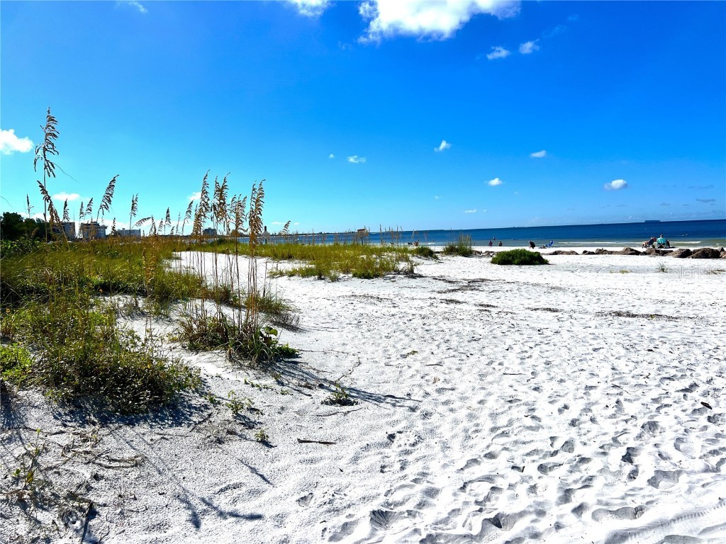 6650 Sunset Way #502 Saint Pete Beach FL 33706 - GULF OF MEXICO TB8405378 image60