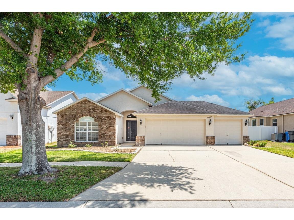 6650 Thackston Drive Riverview FL 33578 T3439041 image1