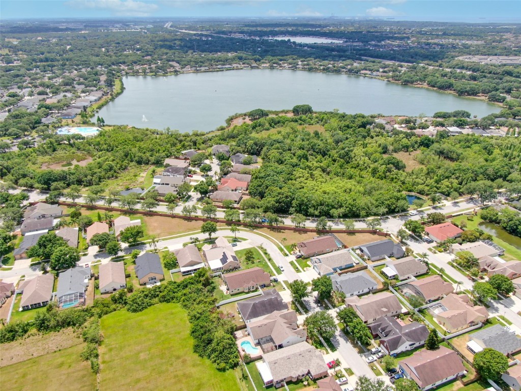 6650 Thackston Drive Riverview FL 33578 TB8458170 image39