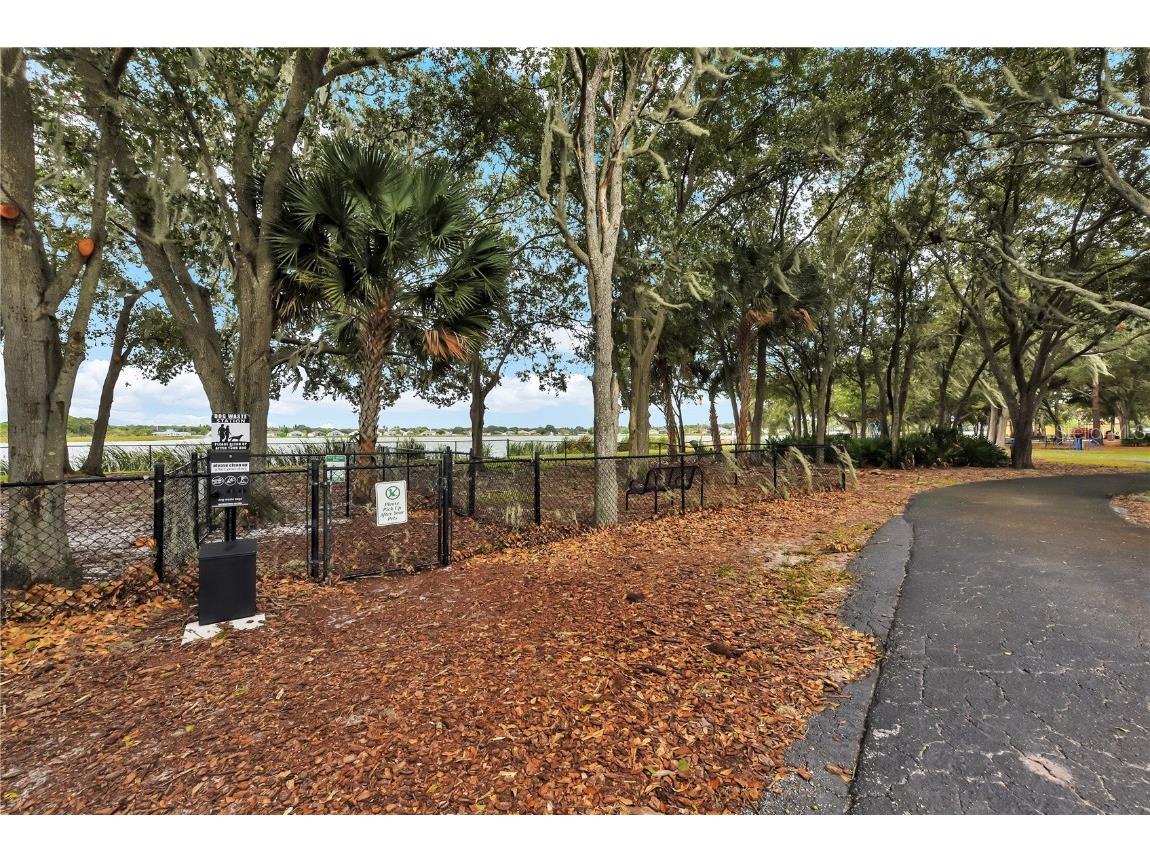 6650 Thackston Drive Riverview FL 33578 TB8458170 image45